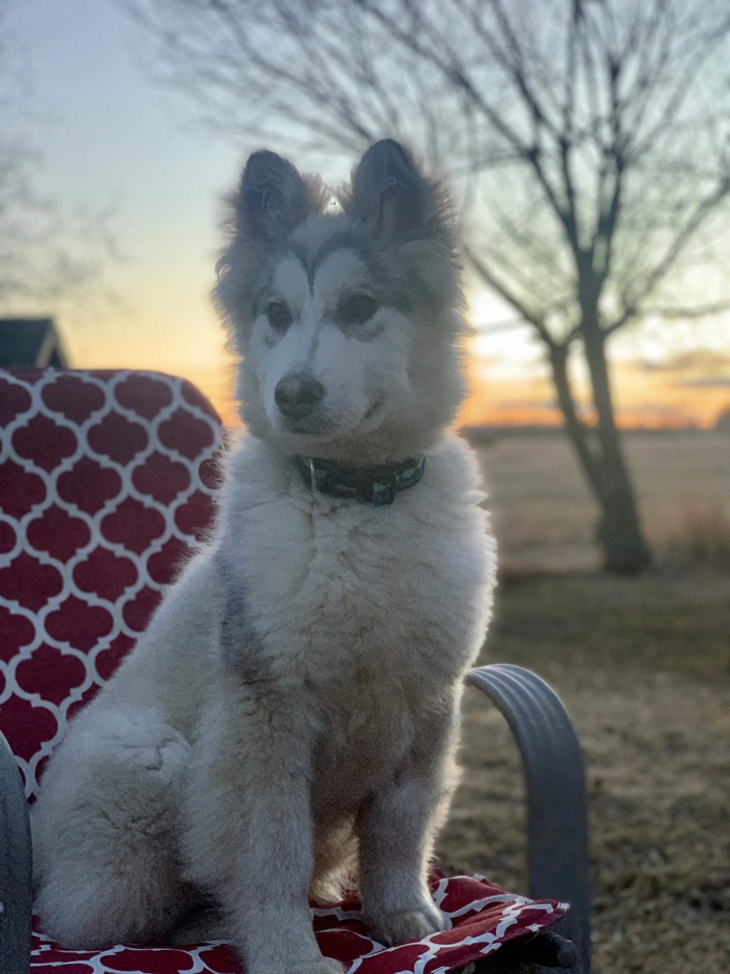 IMG_1682.jpg