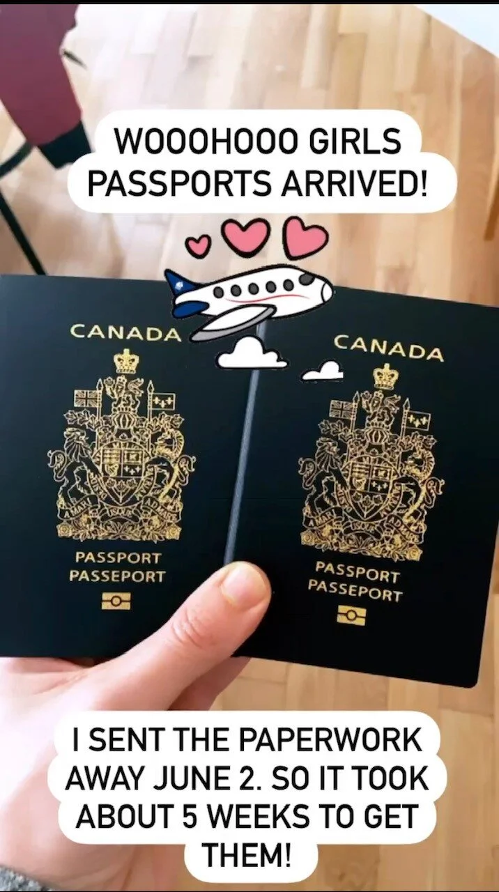 Passport 3.jpg
