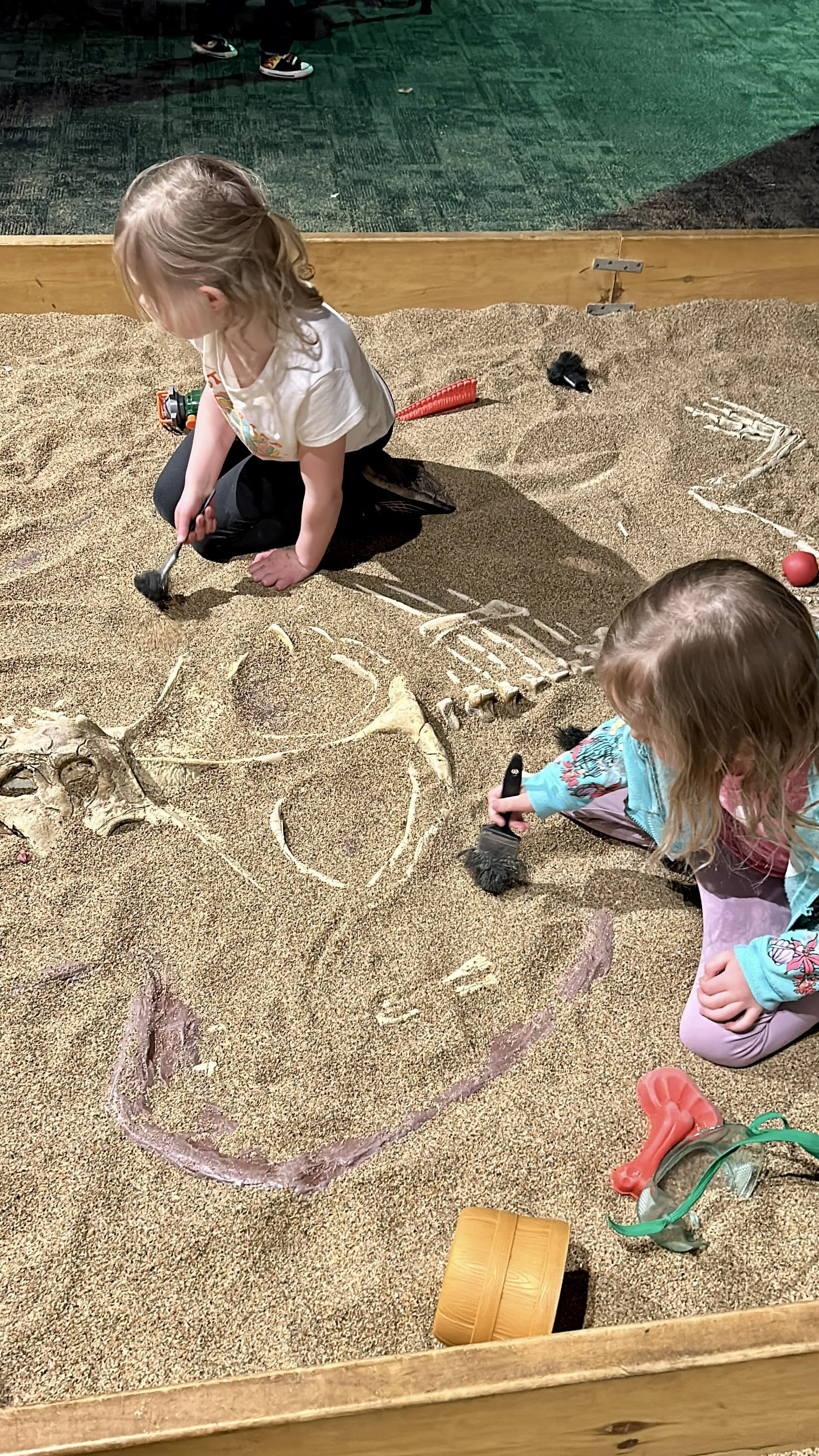 IMG_6290.jpg