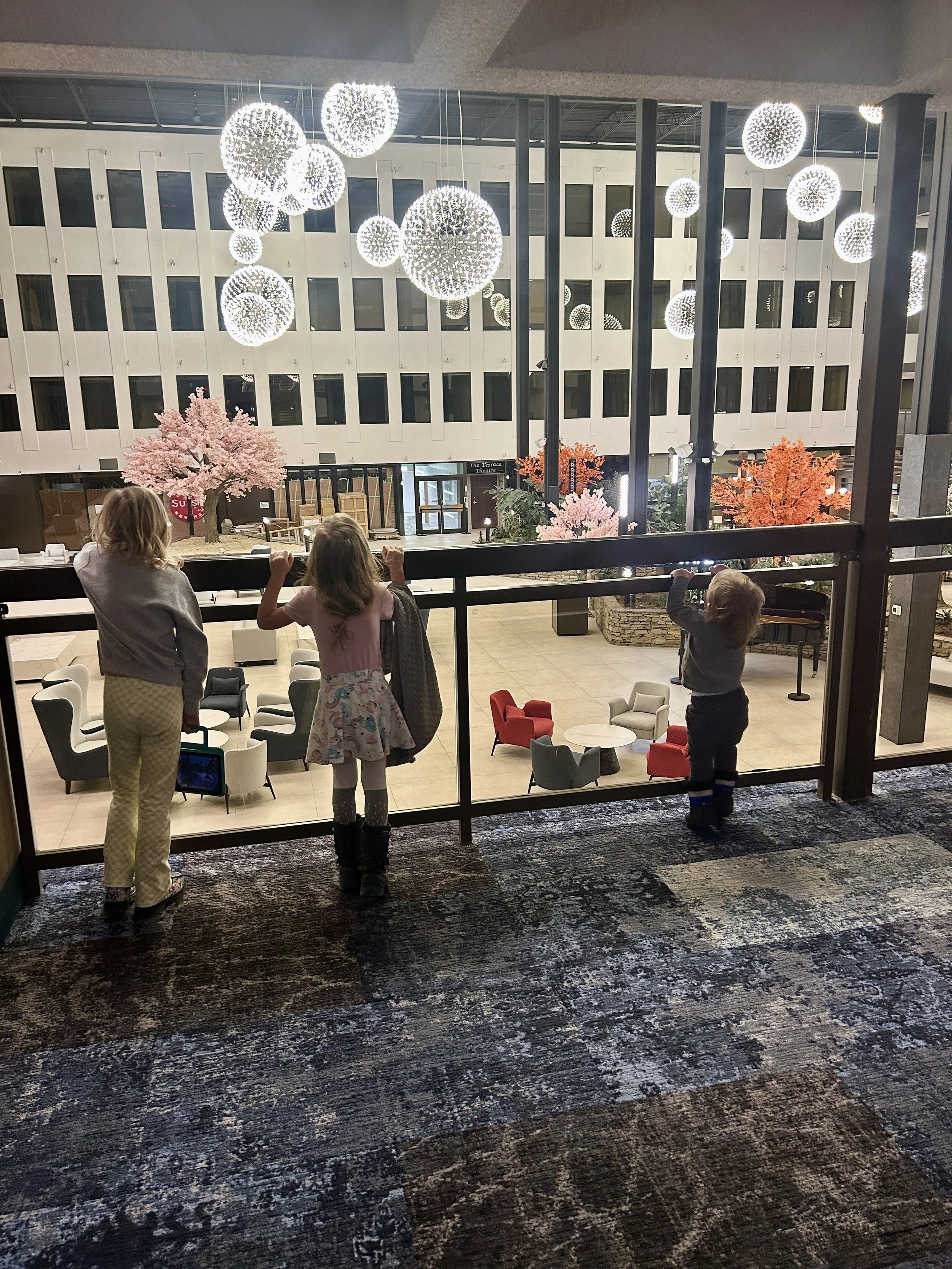 Family Night IN at The Wyndham Edmonton Hotel &amp; Conference Centre