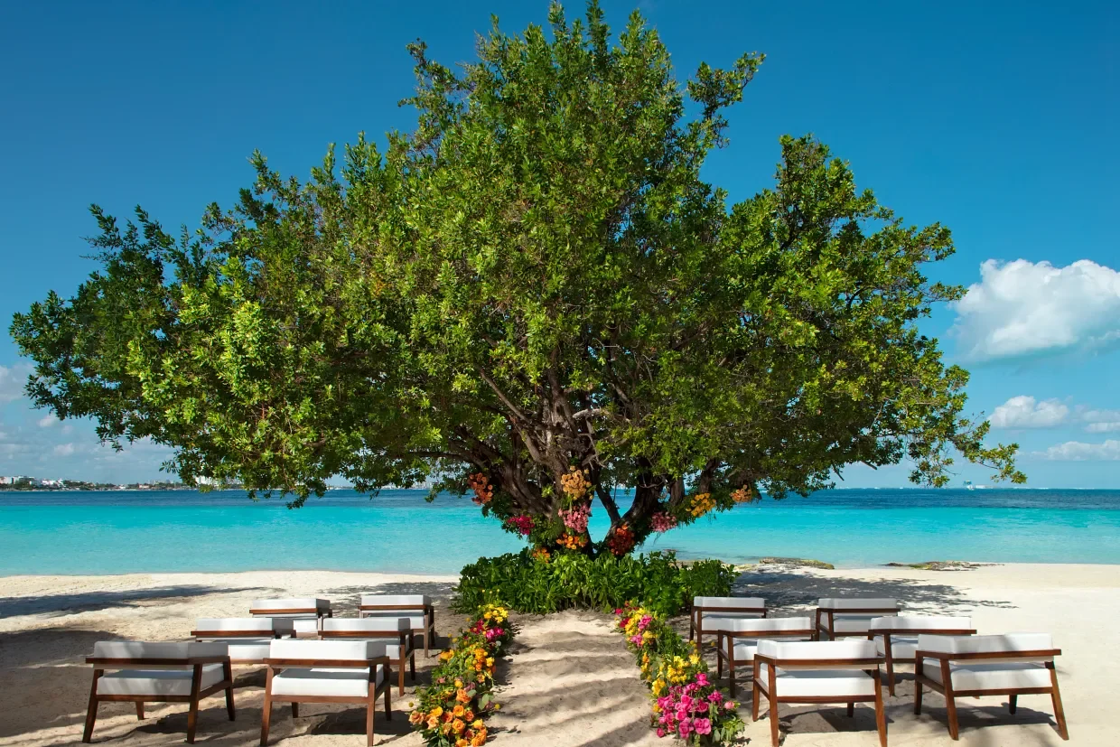 DRESC-EXT-WED-Beach-Tree-Ceremony-1A-CB.webp