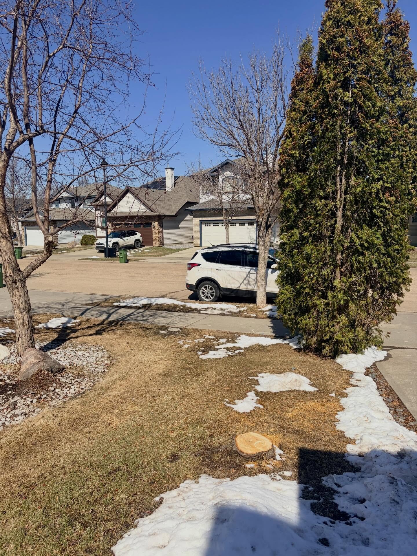 LOTS of things being removed from our front yard this week 😂 This tree was on purpose! 

Did you know @greendropltd also does tree removal? Rain, snow or shine 😂 Our front tree had the dreaded black knot. Years of trying to keep it alive; it was fi
