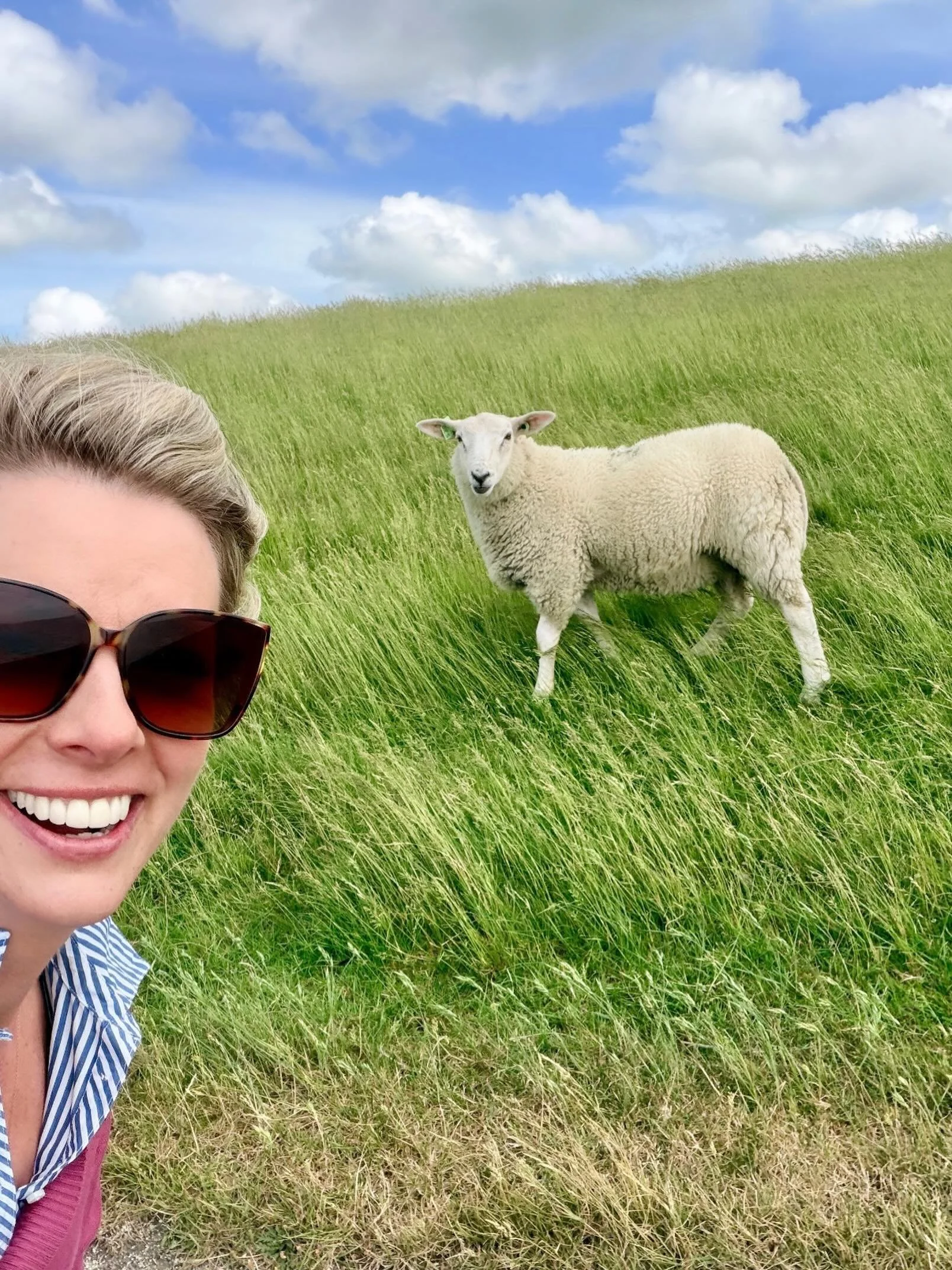 Made the most Wool-some friends today 🐑 It was Ewe-phoric 🤍🤍 Real life Catan here in Harlingen 

Sheep | Dutch | Netherlands | @everydaynyn | @nynkepltk | @psyspypsycho | Eurotrip