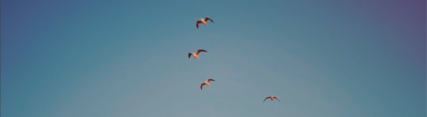 Skjermbilde 2025-08-14 kl. 12.45.22.png