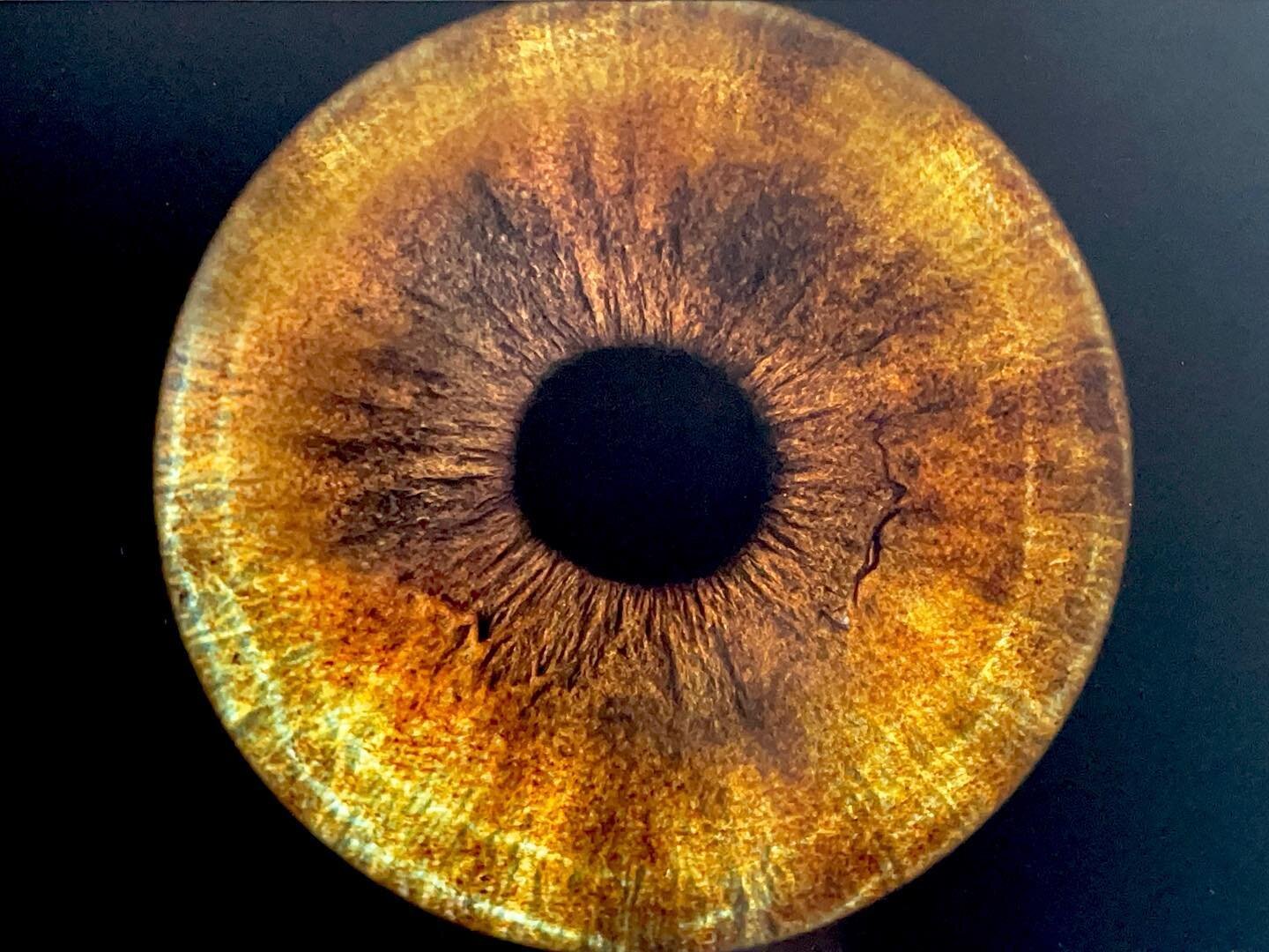 Wandered by a place that scans irises. This is mine. The family that operated it was so sweet, and had just opened the shop on Monday. Such a fun experience! #eyemazyreykjavik