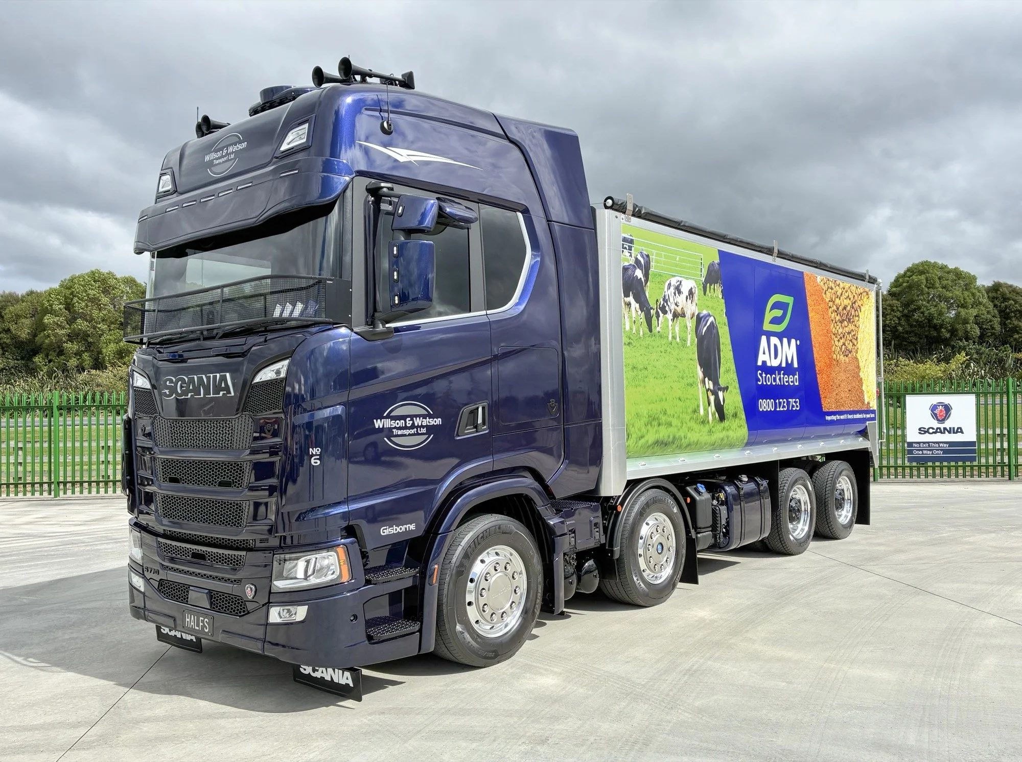 IMG_5815 e copy-JPG copy-2000px.jpg