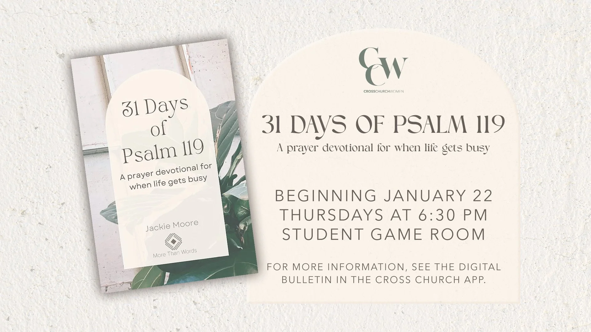 Bible Study at Cross Church Springdale