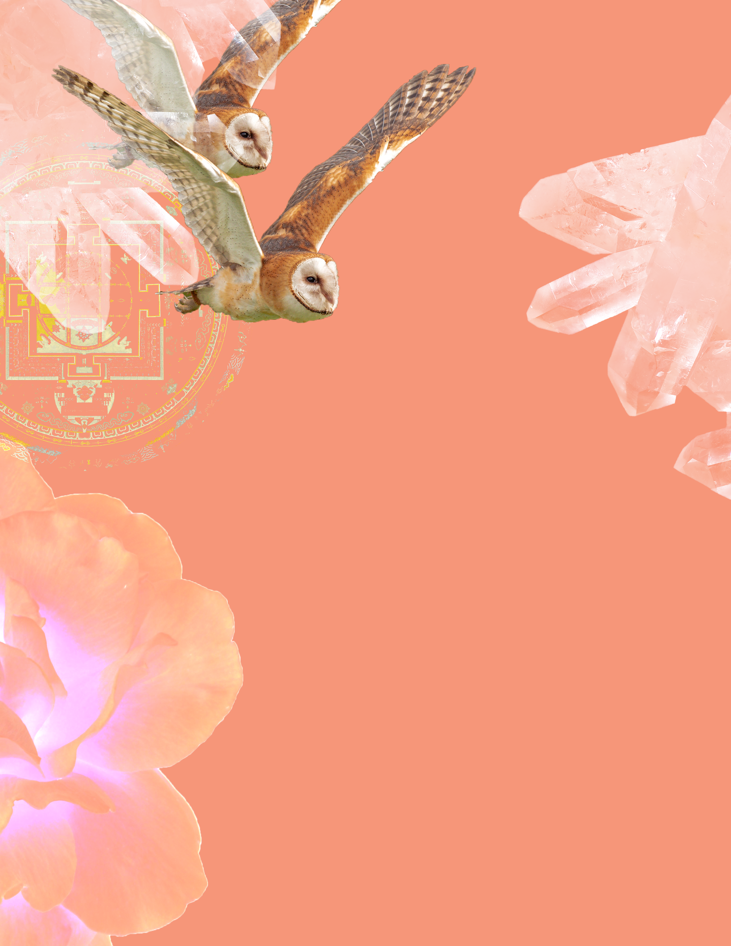 AngSungWaheGuru.png
