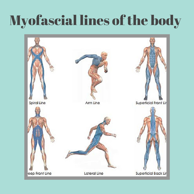 What Is Myofascial Release Technique MFR Stacy Pickhardt LMT
