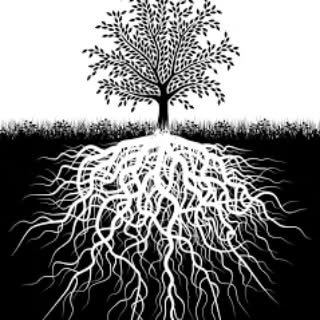 Hello and welcome,  I am Stacy Pickhardt, your massage therapist for health and wellness.

MY PASSION
Creativity within massage therapy as an art form.

MY KNOWLEDGE
Continued pursuit of continuing education in my craft, and compassion and understand