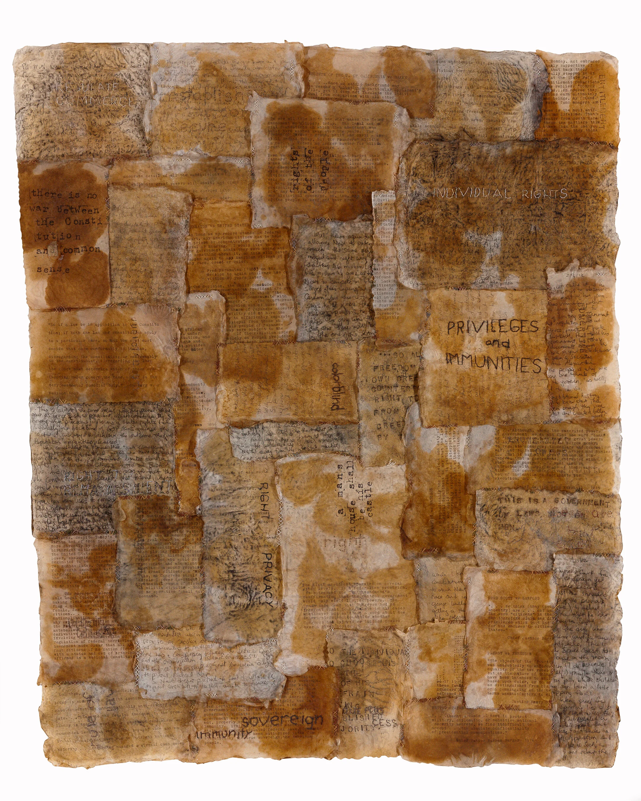 the constitution — Deborah Nehmad