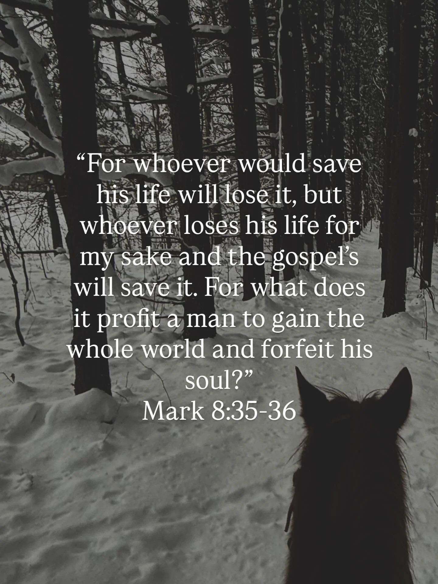 Lord God,
I pray over anyone who follows this account or sees this post, that they would refocus their attention on you, creating space for you, realizing there is only life found through you, and that they would find the things of this world to be n