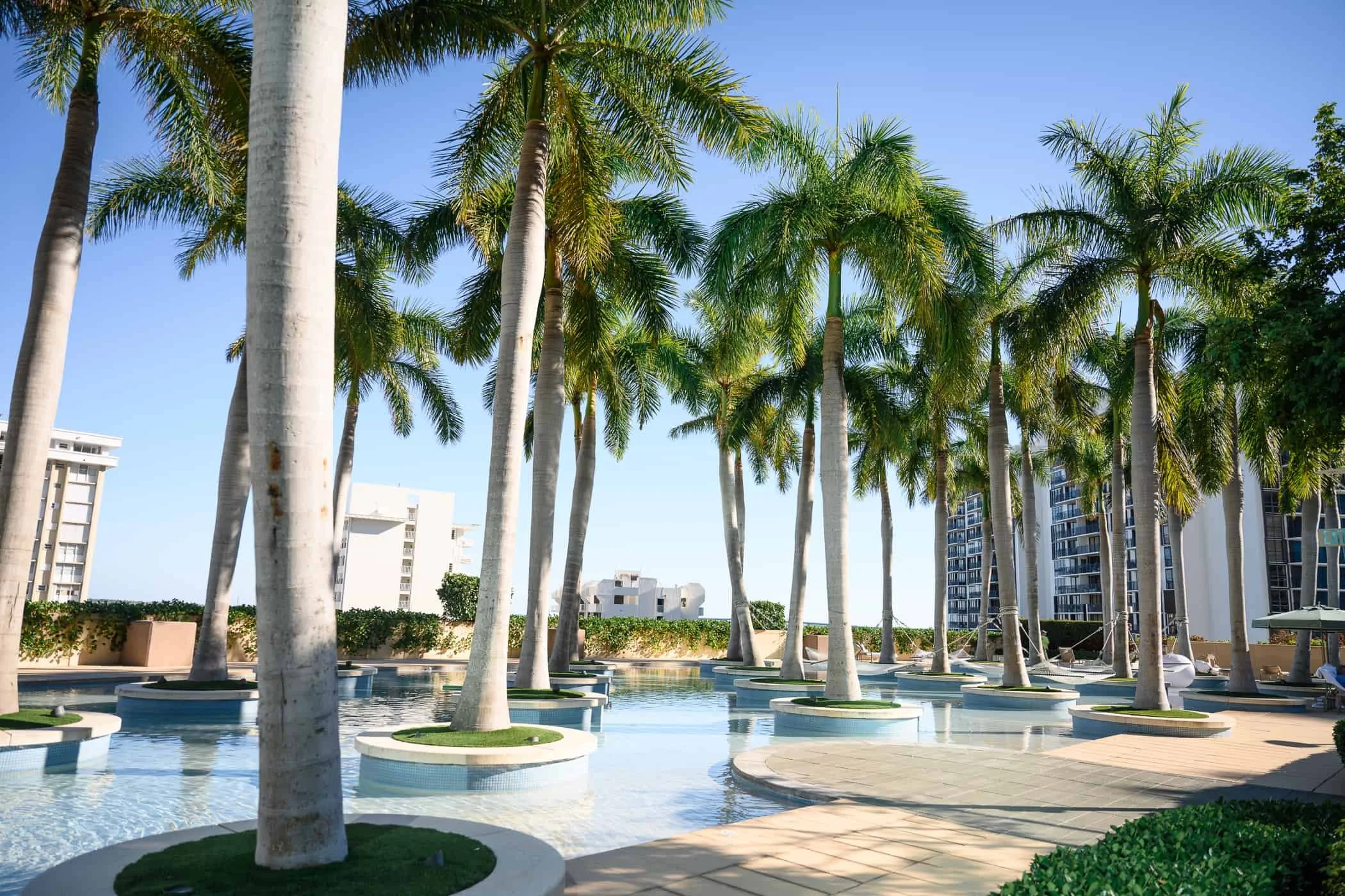 Four Seasons Miami Palm Grove Pool