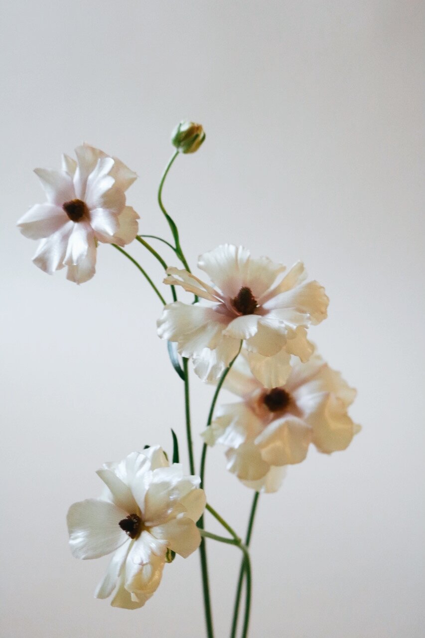 Portland Wedding Florist Spring Ranunculus