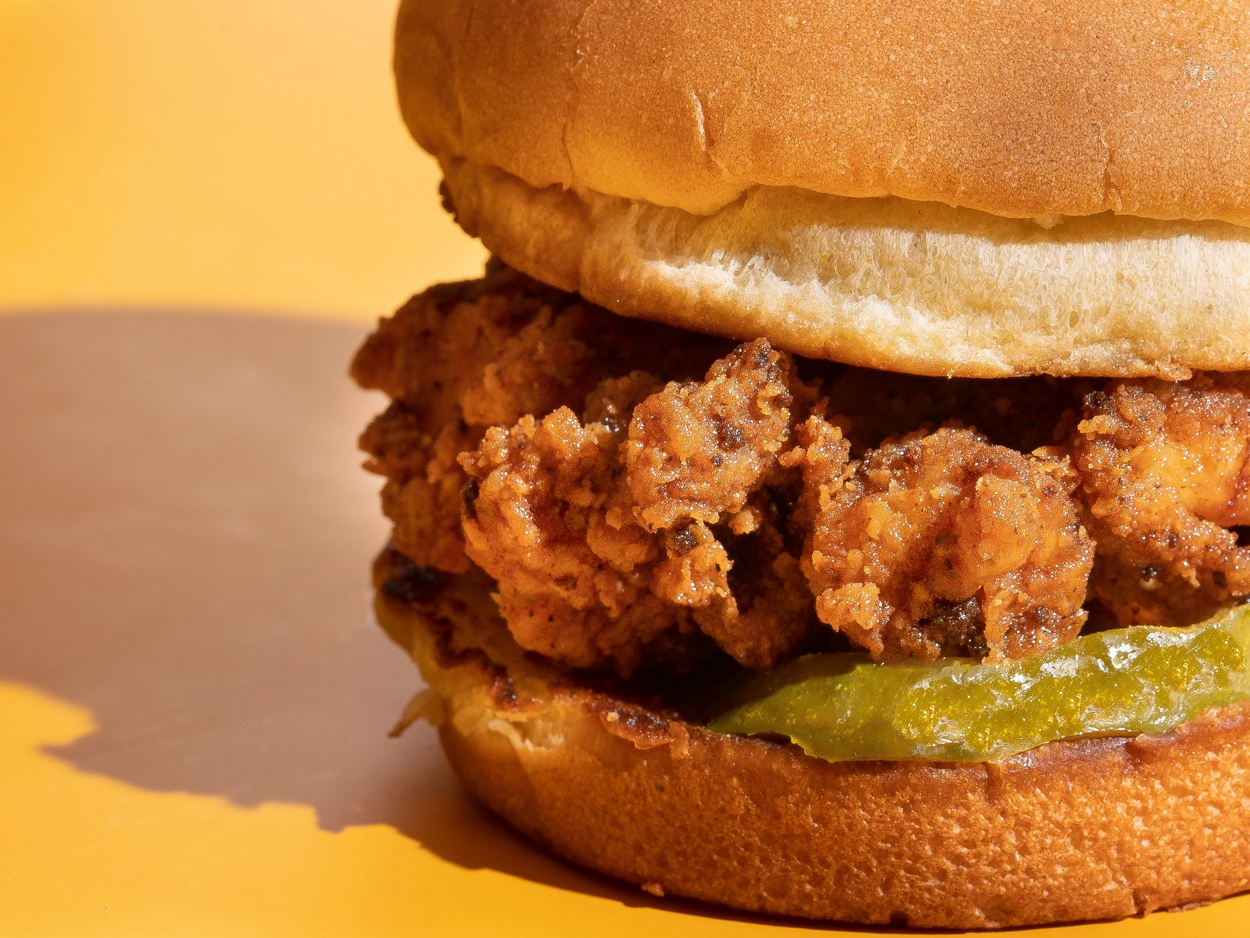 commercial-food-photographer-los-angeles-san-francisco-chicago-campaign
