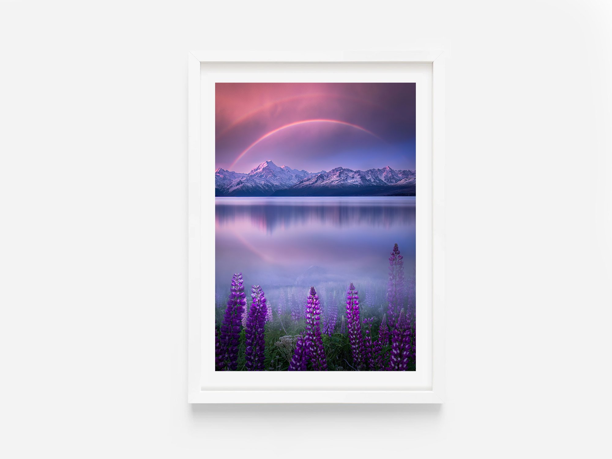 Lake Pukaki Mount Cook Lupins Spring Flowers NZ Print
