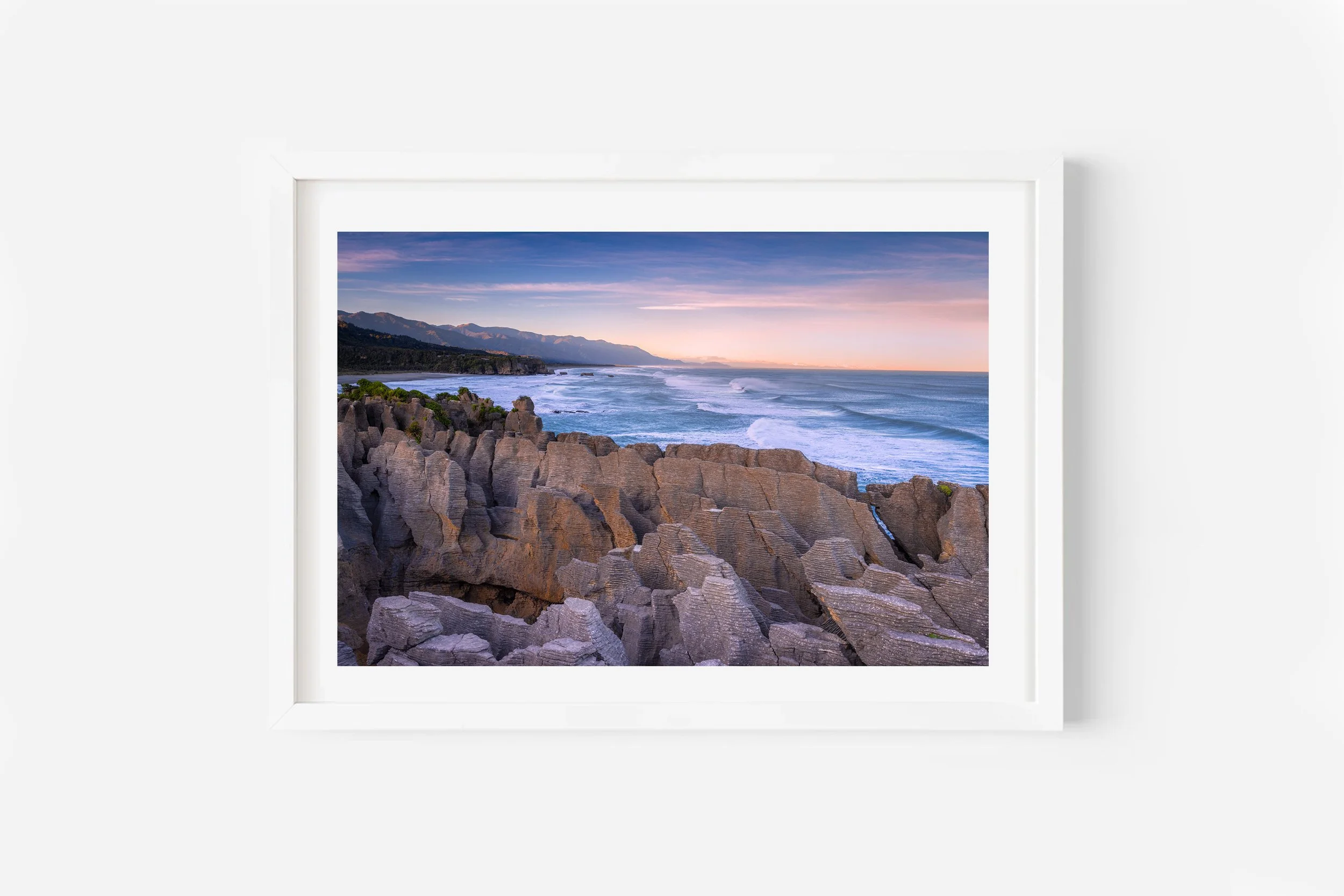 West Coast Cedar | New Zealand Landscape Photography | NZ Photo Prints