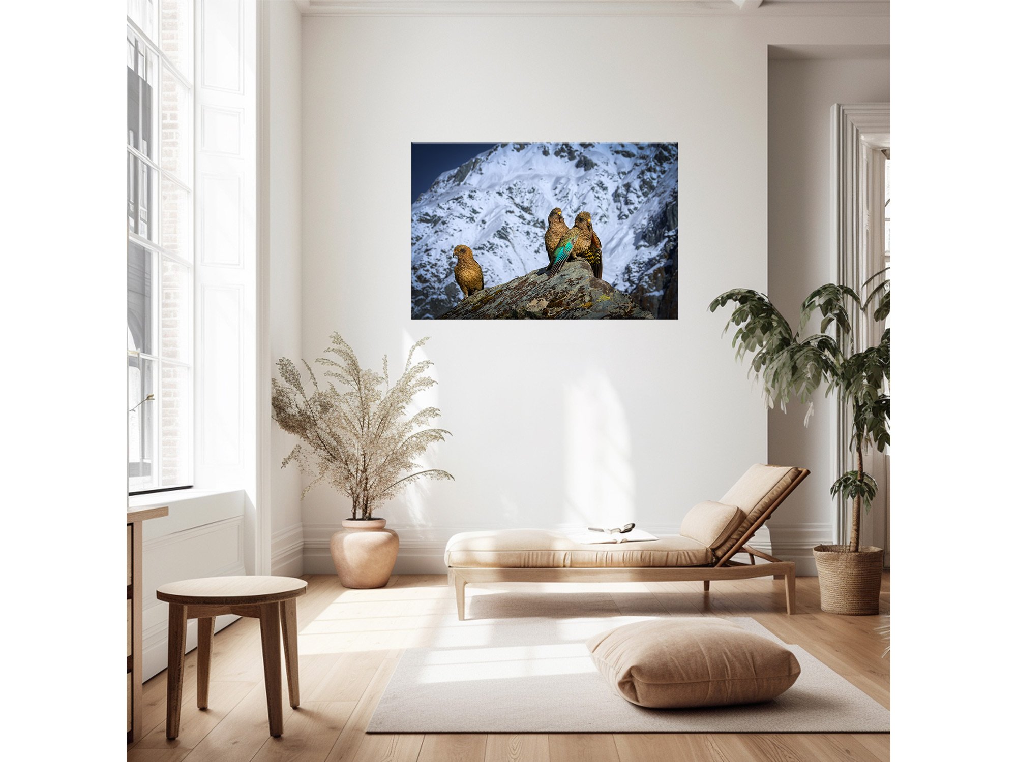 New Zealand Bird Kea Parrots West Coast NZ Print