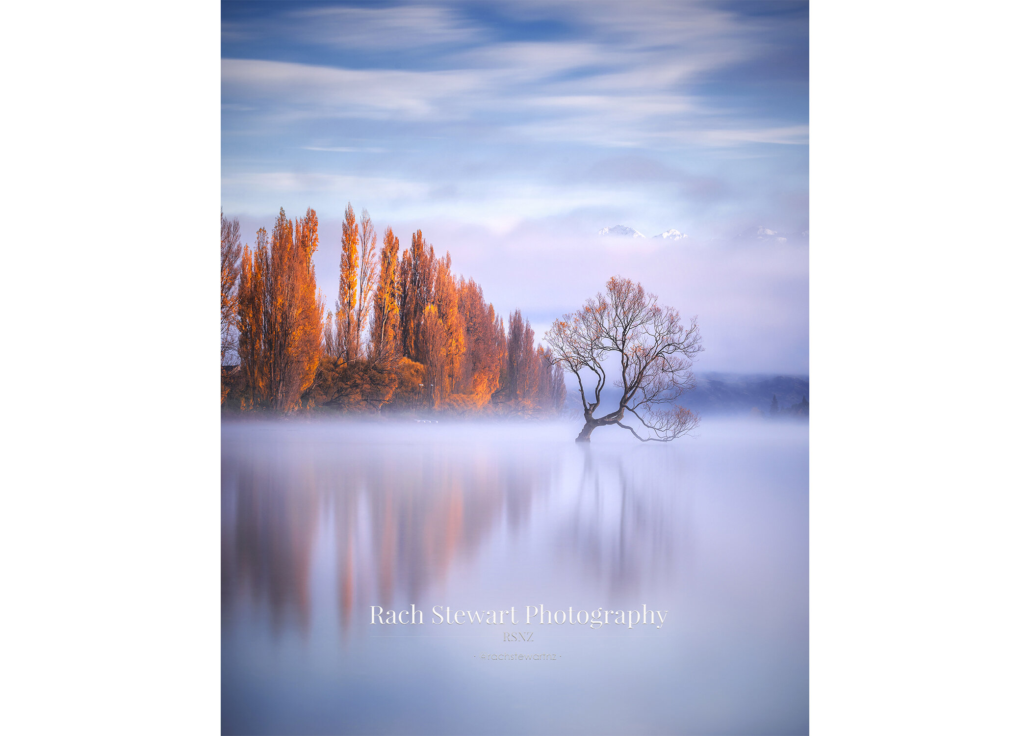 Wanaka Tree sunrise autumn NZ Print