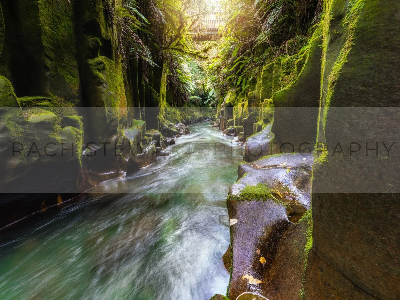 NZ Calendar 2026 - New Zealand Landscape Photography