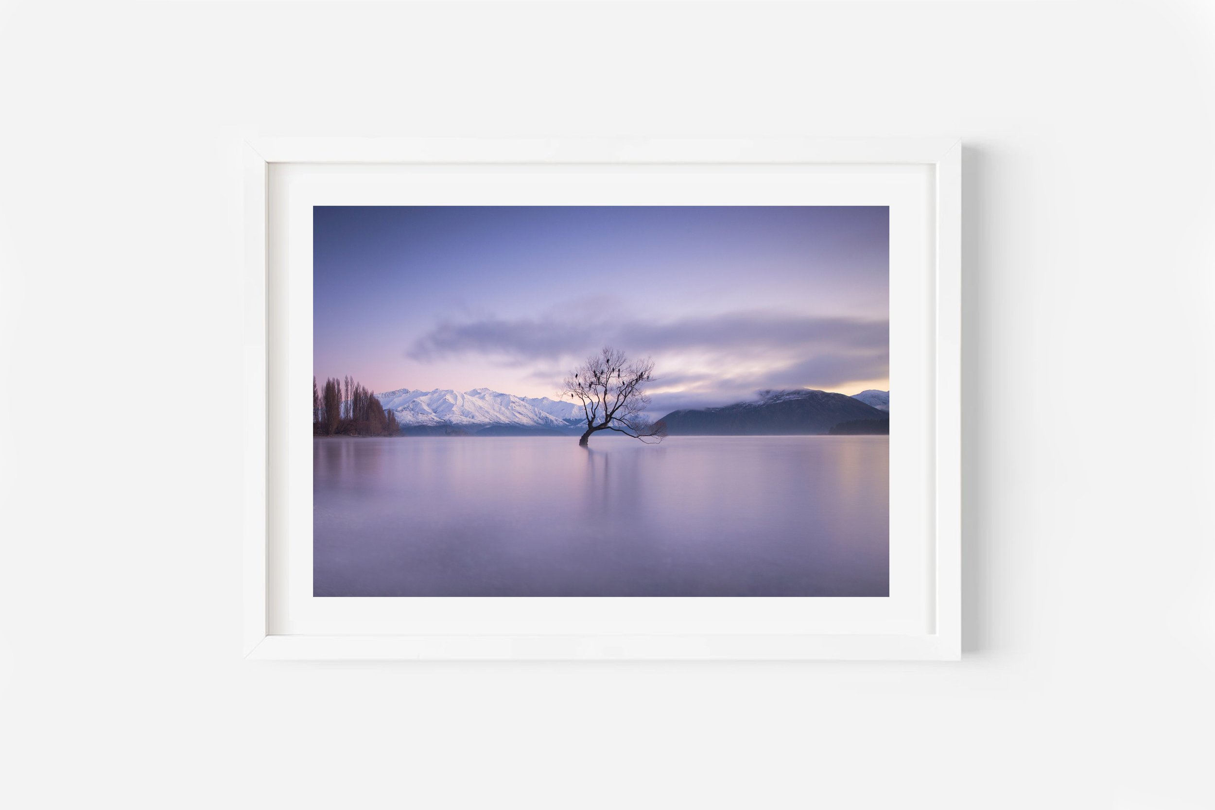 Wanaka Tree Winter Sunrise NZ Print