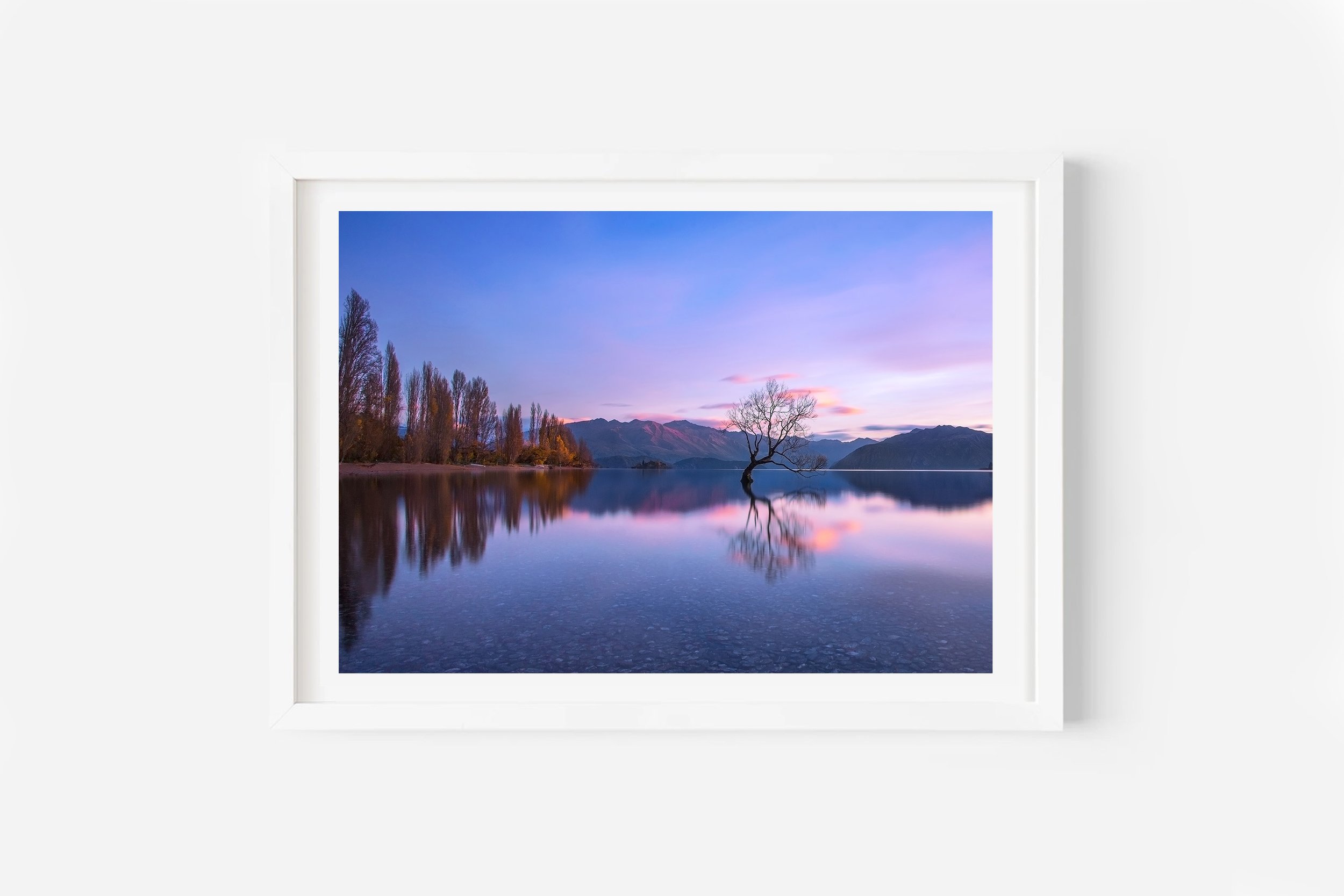 Wanaka Tree sunrise Autumn NZ Print