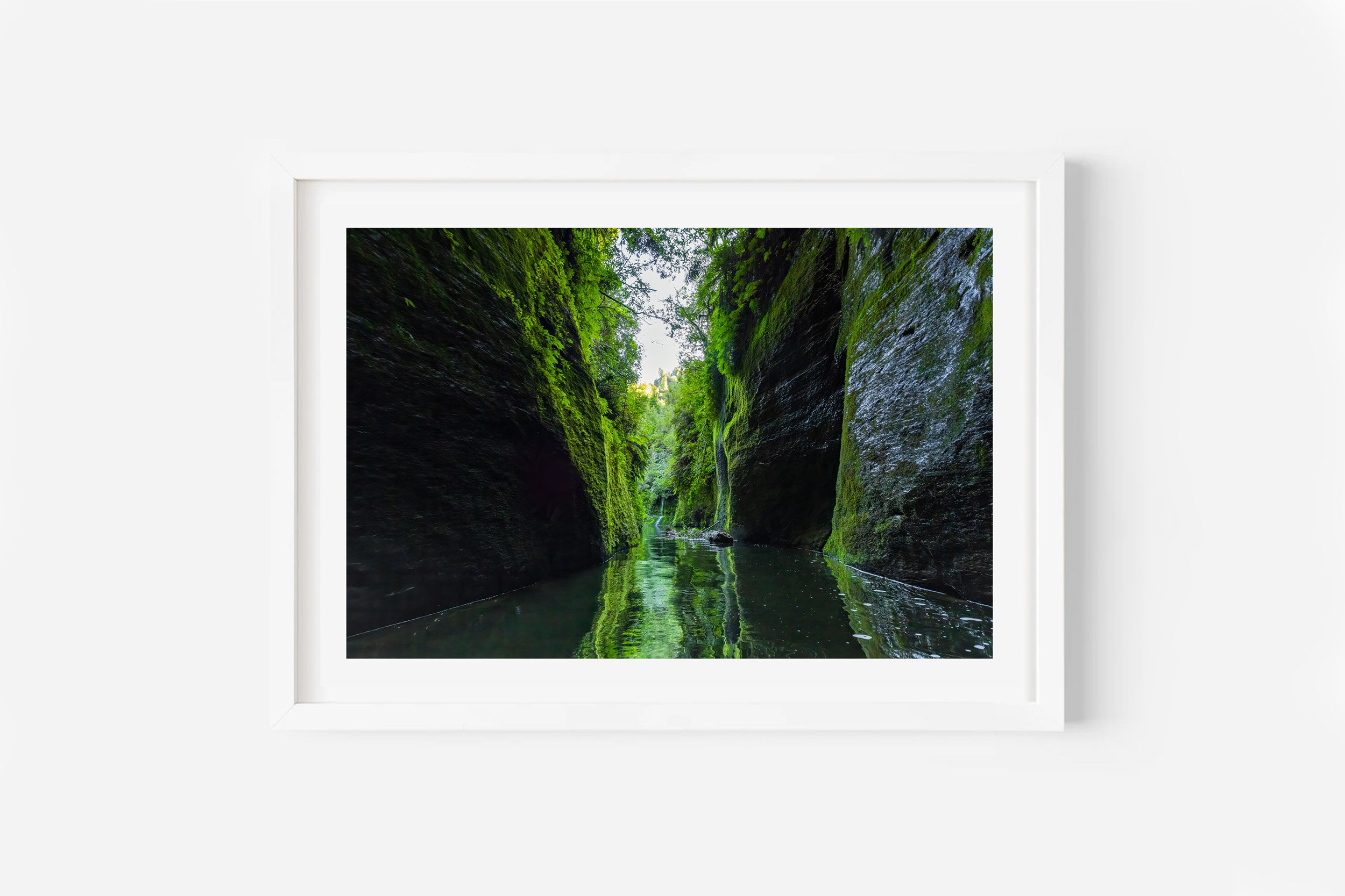 Kaiwhakauka River Gorge Whanganui National Park NZ Print