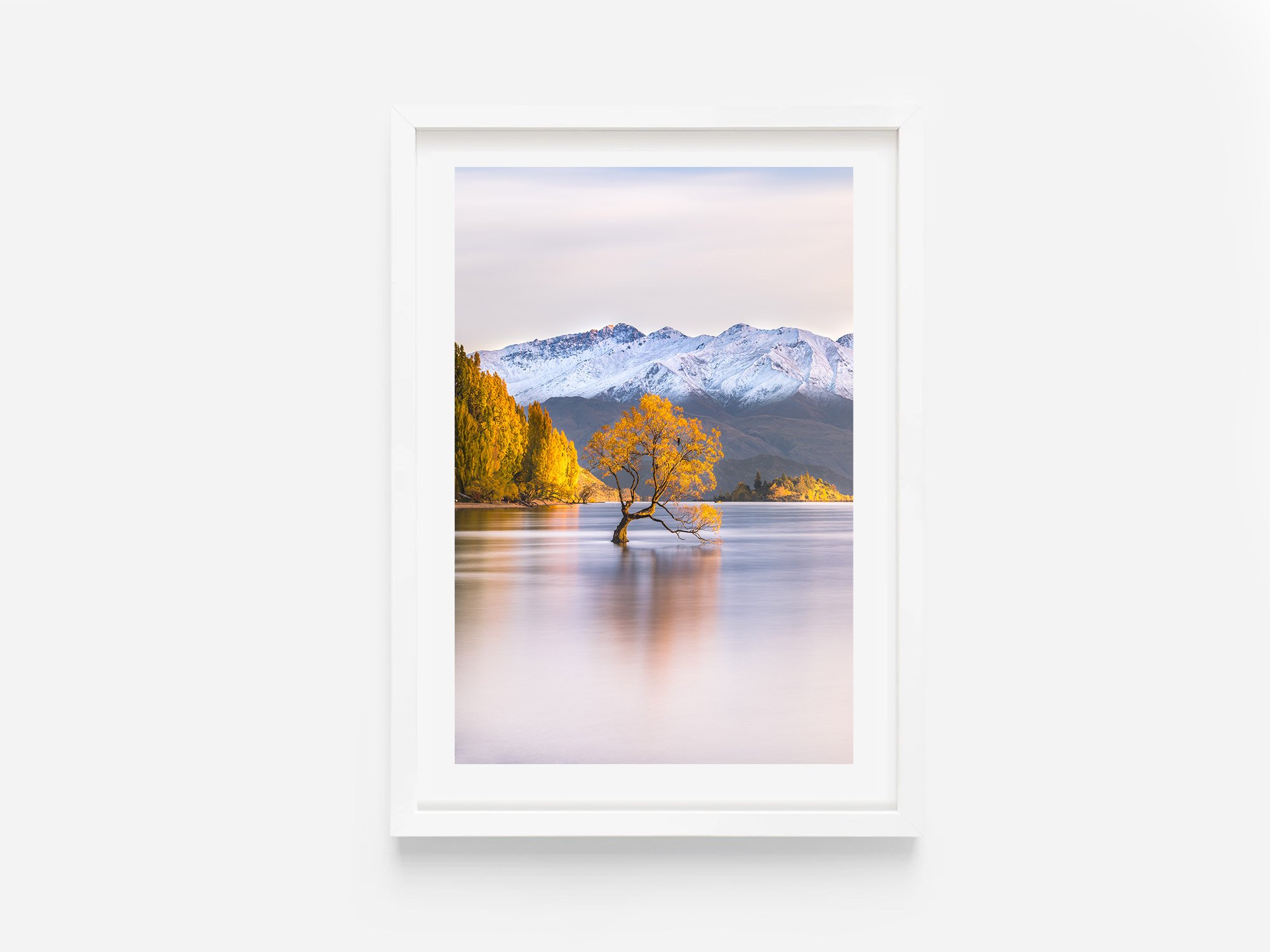 Wanaka Tree sunrise Autumn NZ Print