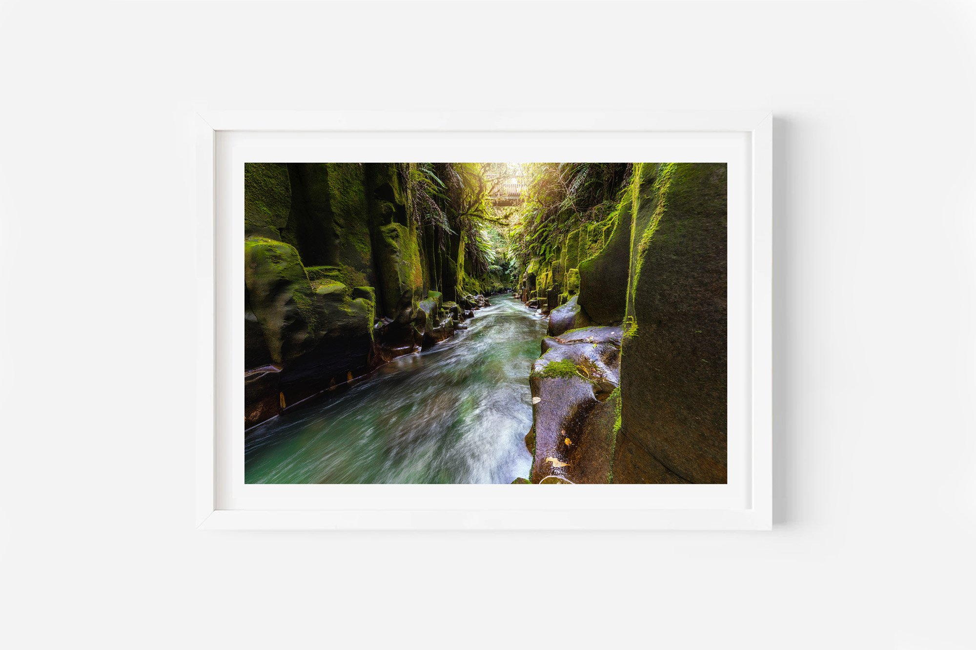 Te Whaiti Nui A Toi Canyon Whirinaki Forest NZ Print