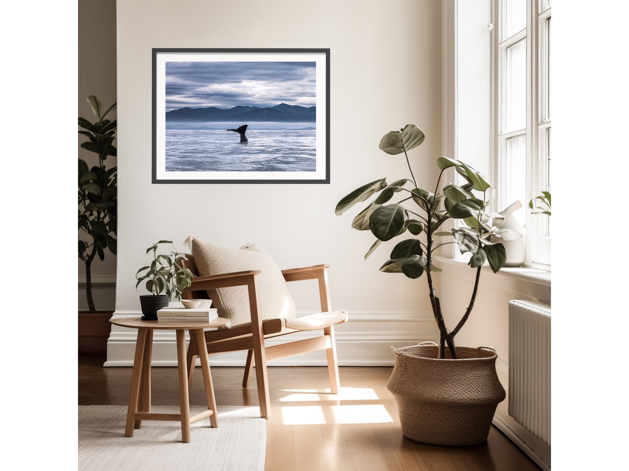 Kaikoura Sperm Whale NZ Print