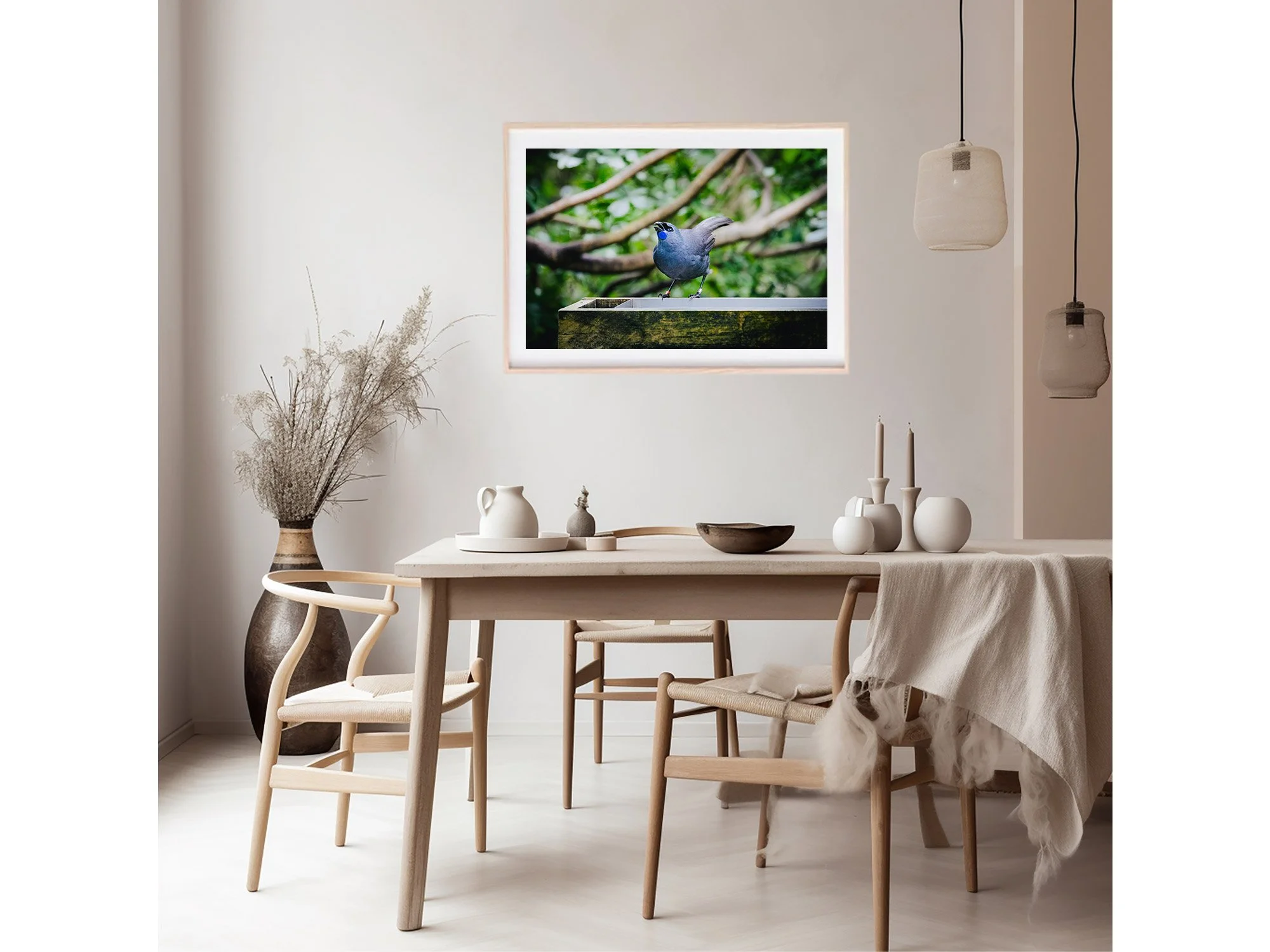 New Zealand Bird North Island Kokako NZ Print