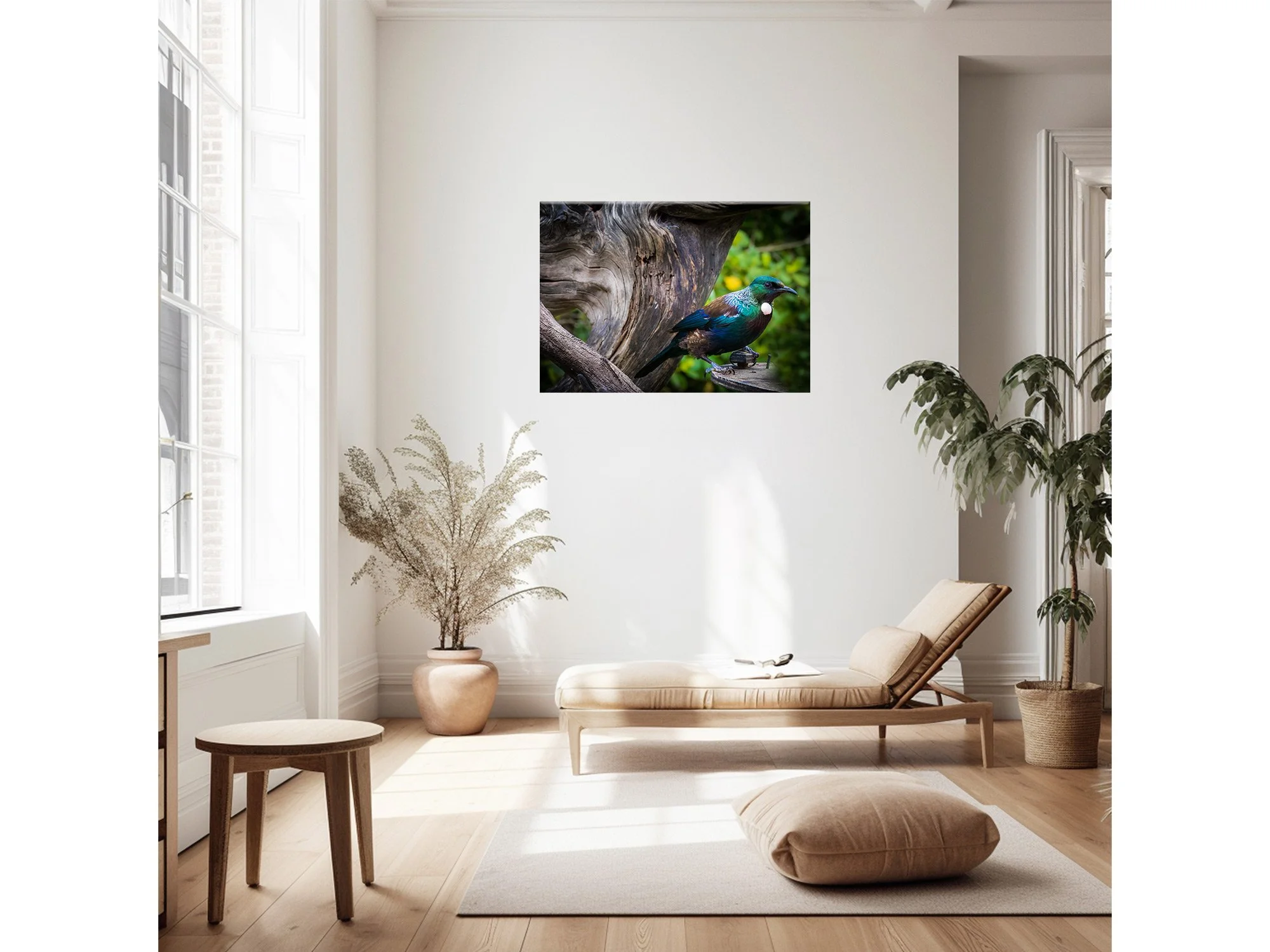 New Zealand Bird Tui NZ Print