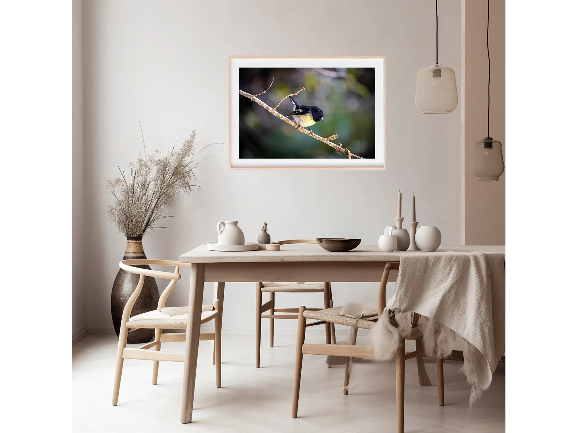 South Island Tomtit Bird New Zealand Photo Print