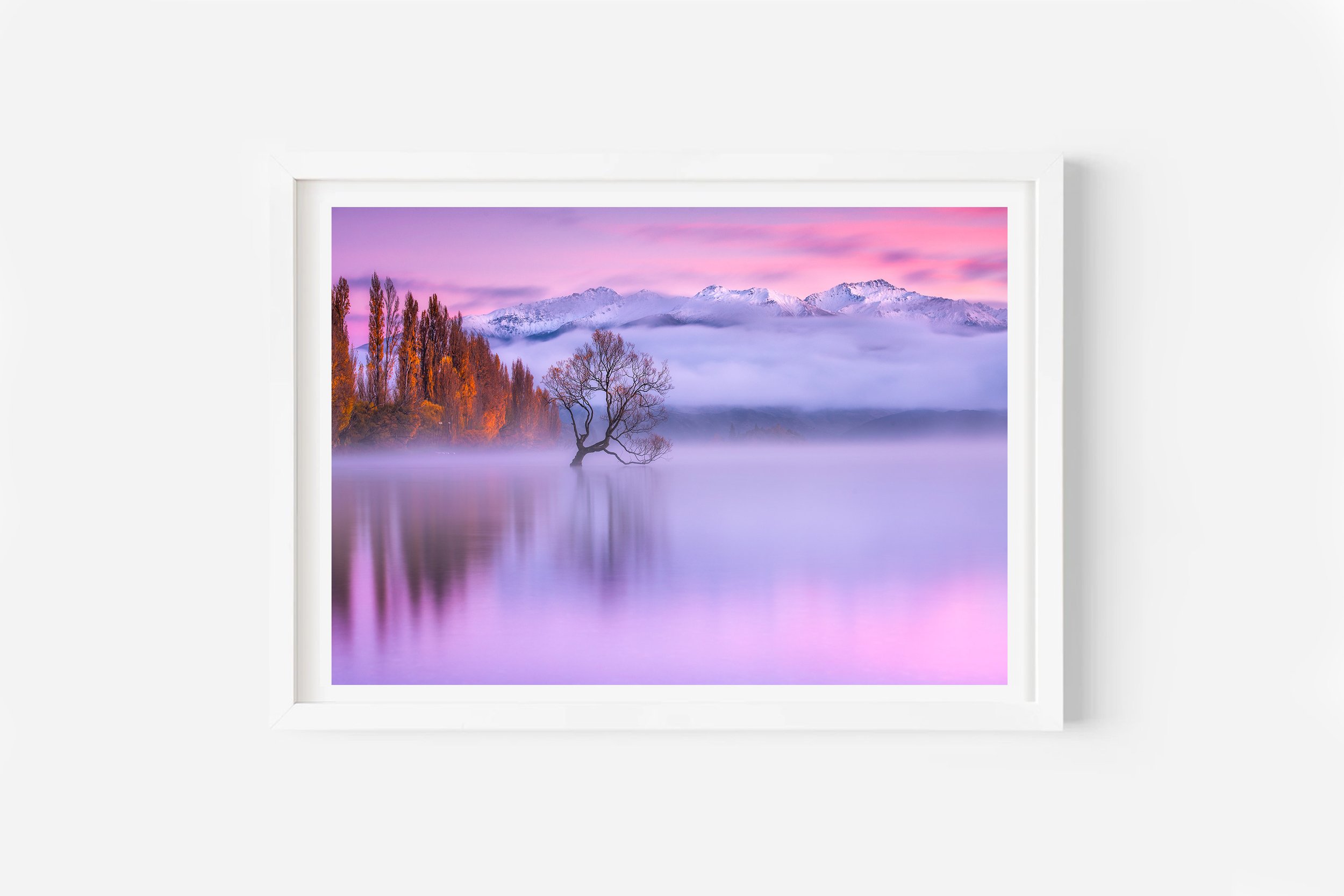 Wanaka Tree Autumn Fog NZ Print