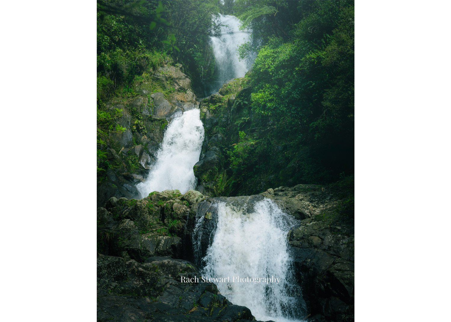 upper kaiate falls welcome bay tauranga print