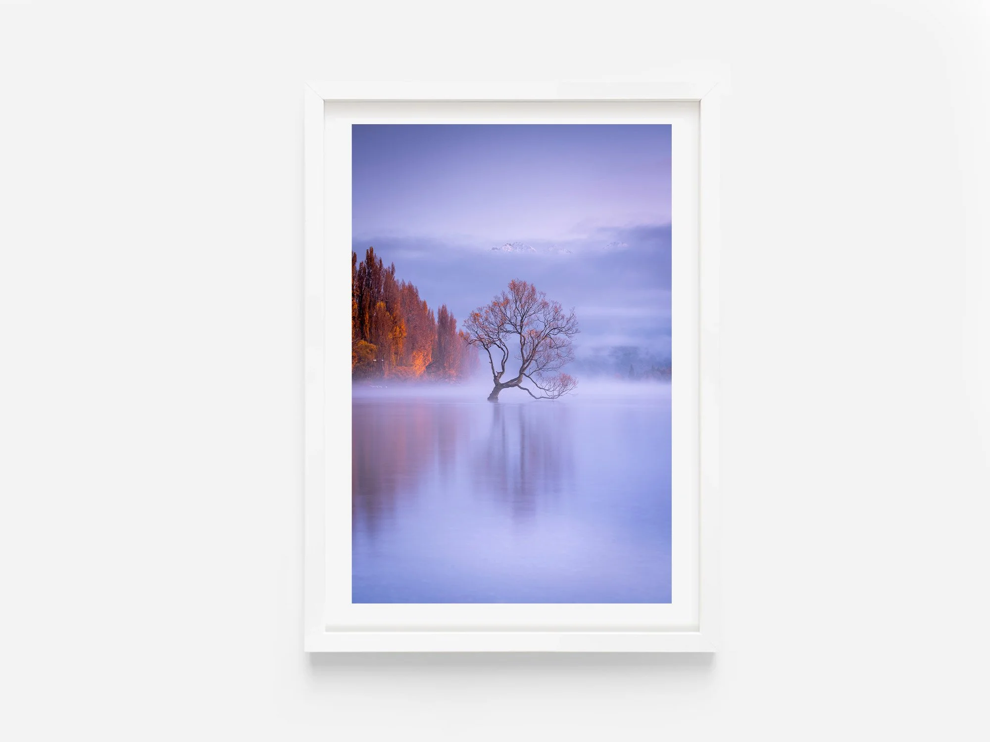 Wanaka Tree sunrise Autumn NZ Print
