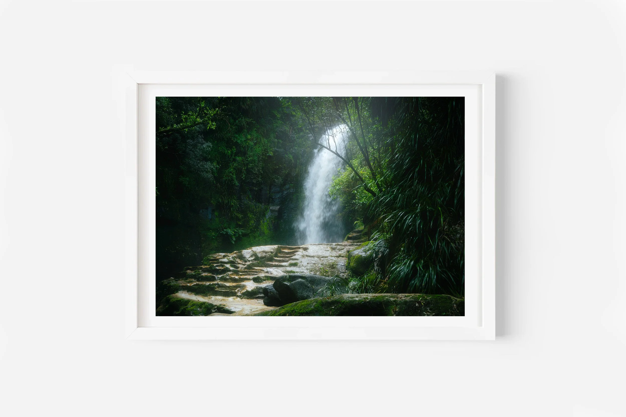 Kaiate Falls Track Tauranga Bay of Plenty NZ Print
