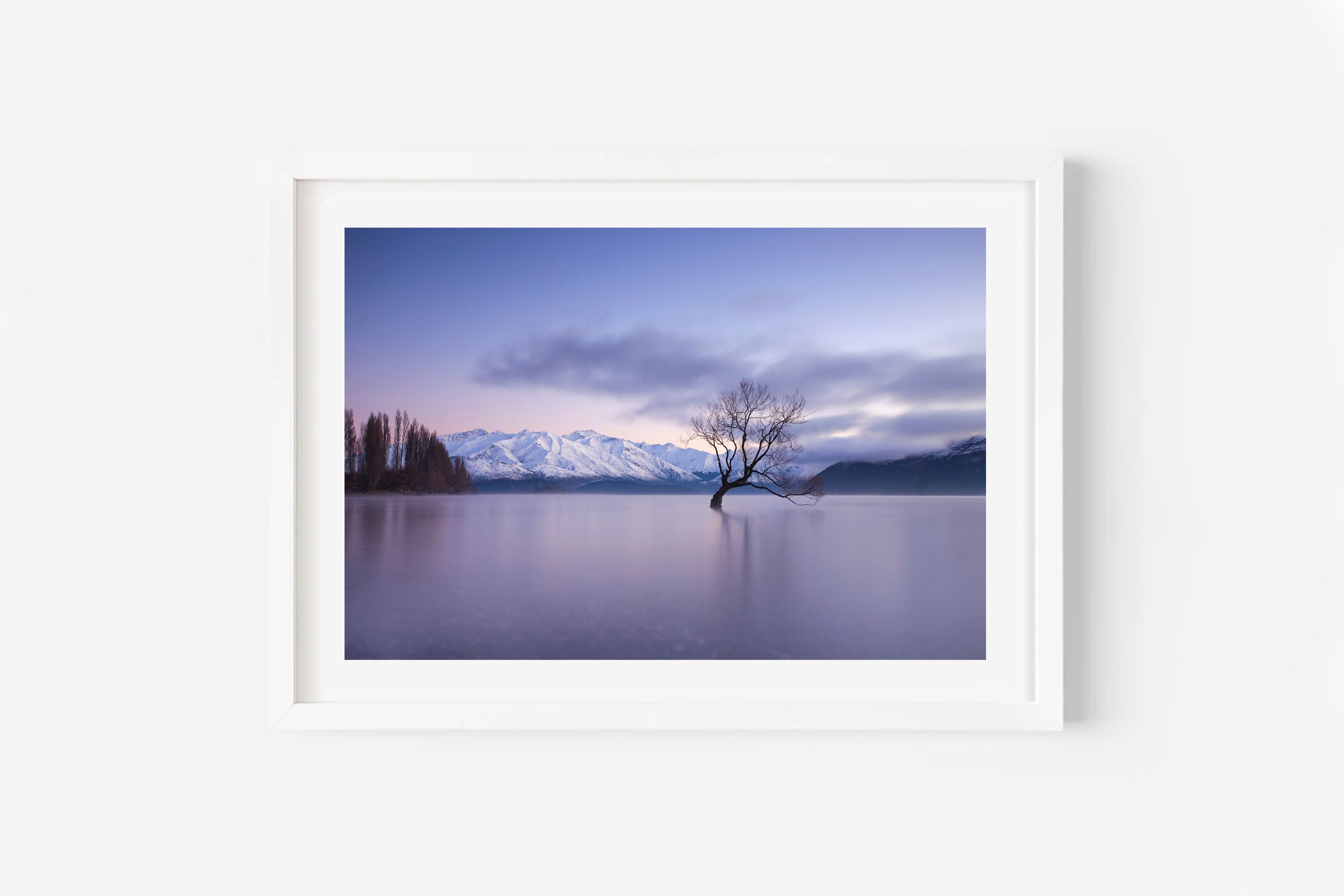 Wanaka Tree Winter Sunrise NZ Print