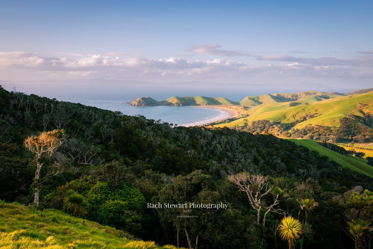 Port Jackson Lookout Northern Coromandel