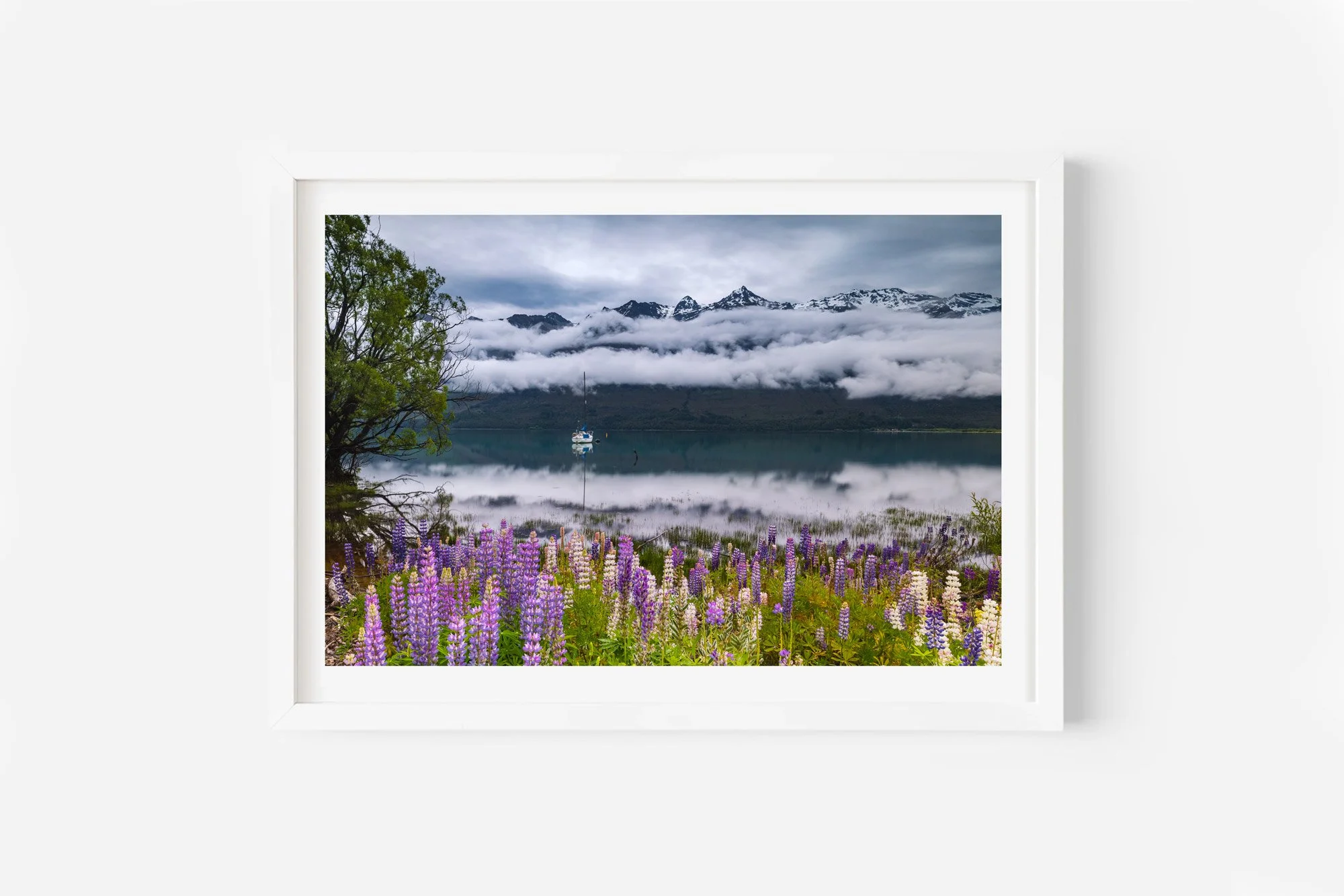 lupin flowers lake wakatipu glenorchy nz landscape print