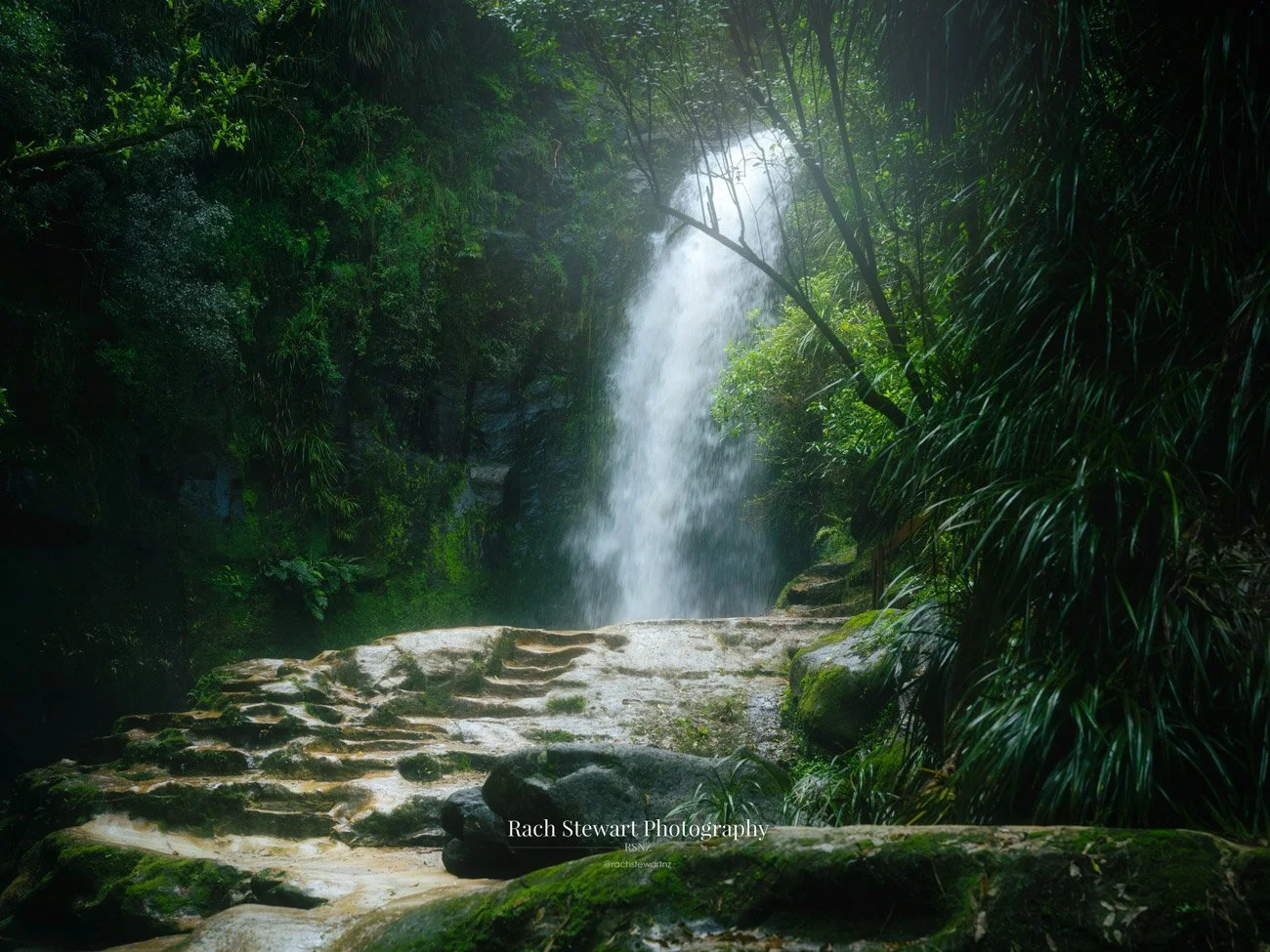 Kaiate Falls Track Tauranga Bay of Plenty NZ Print