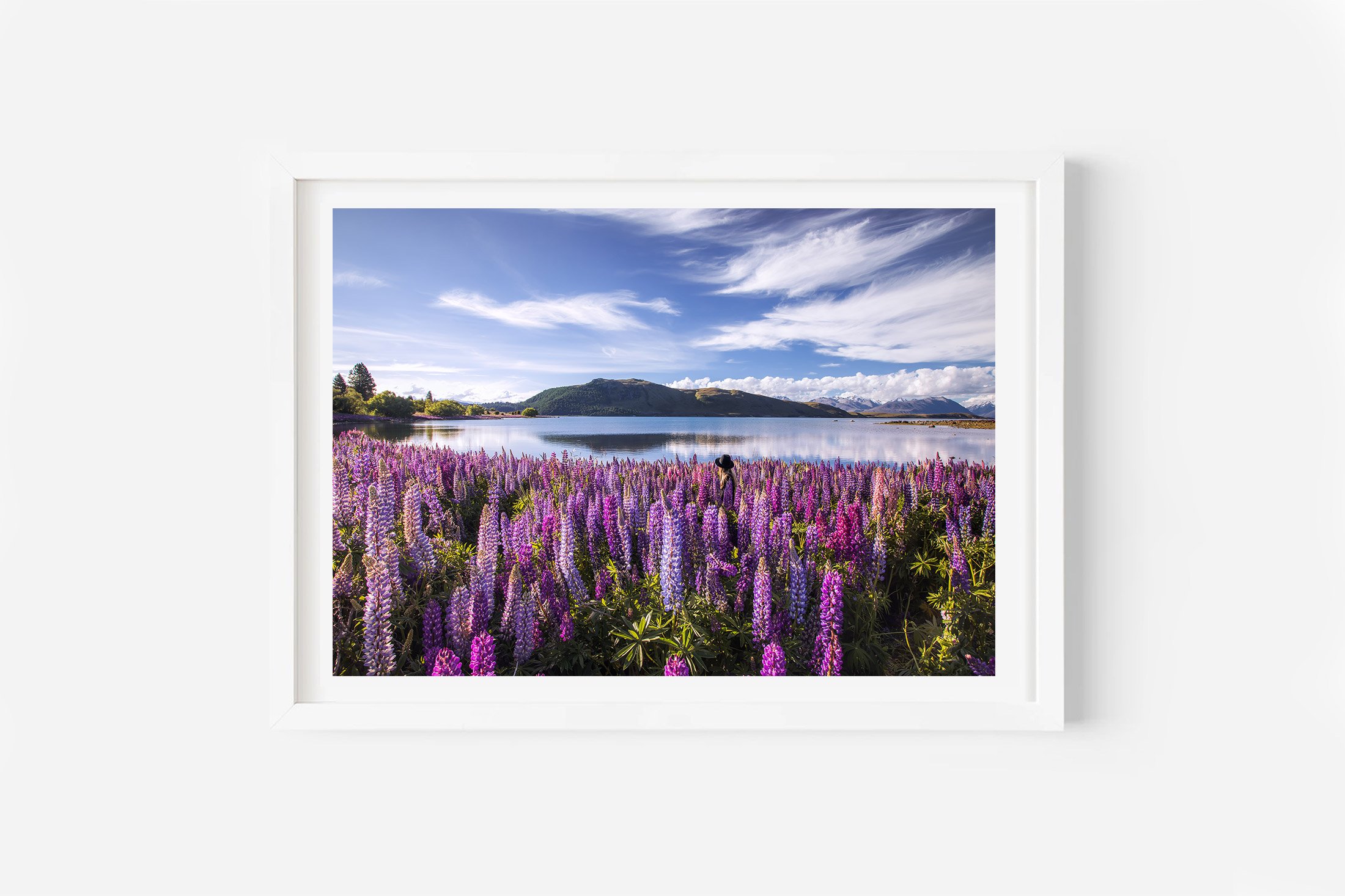 Lake Tekapo Lupin Fields NZ Print