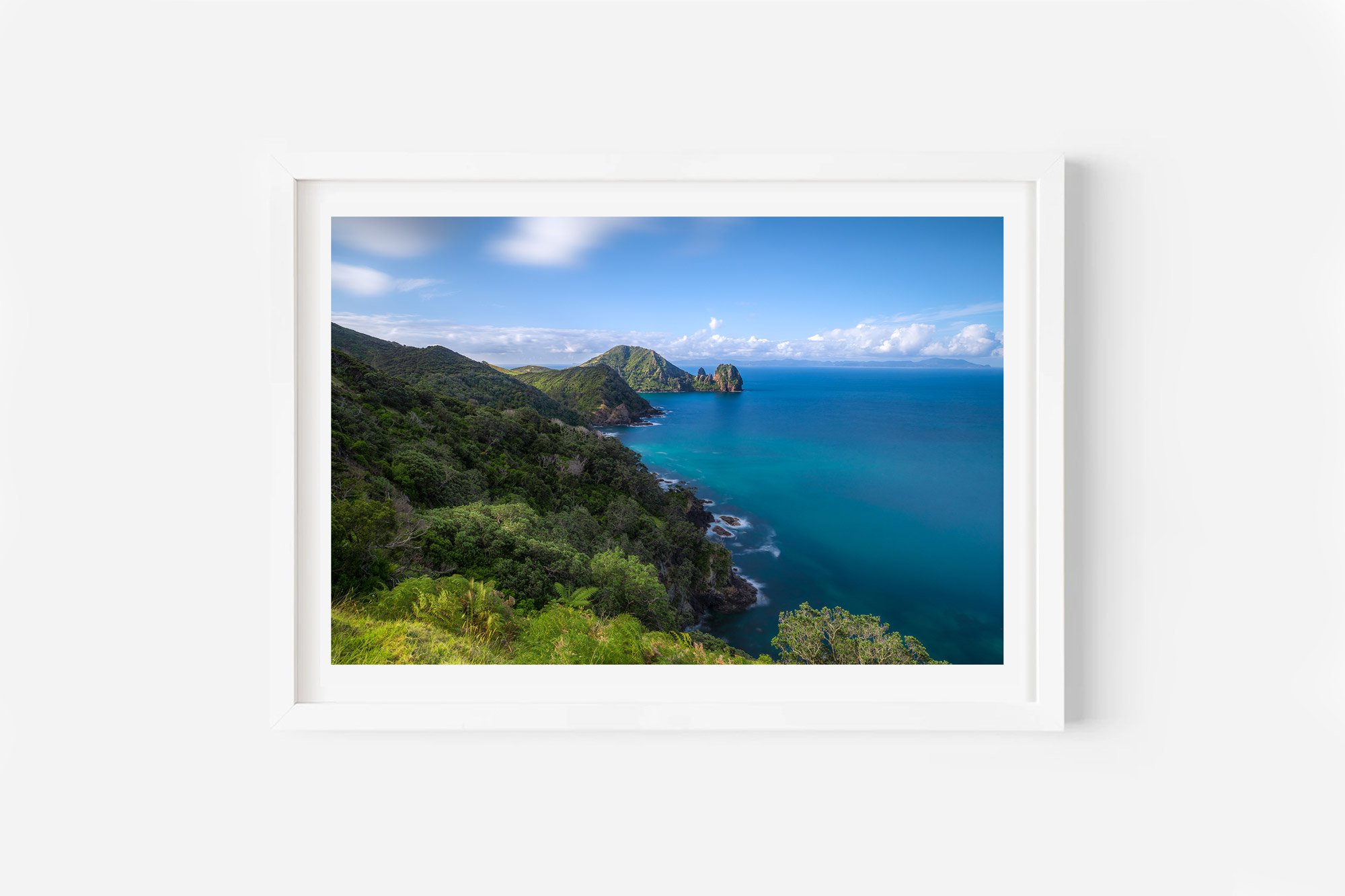 Coromandel Coastal Walkway NZ Print