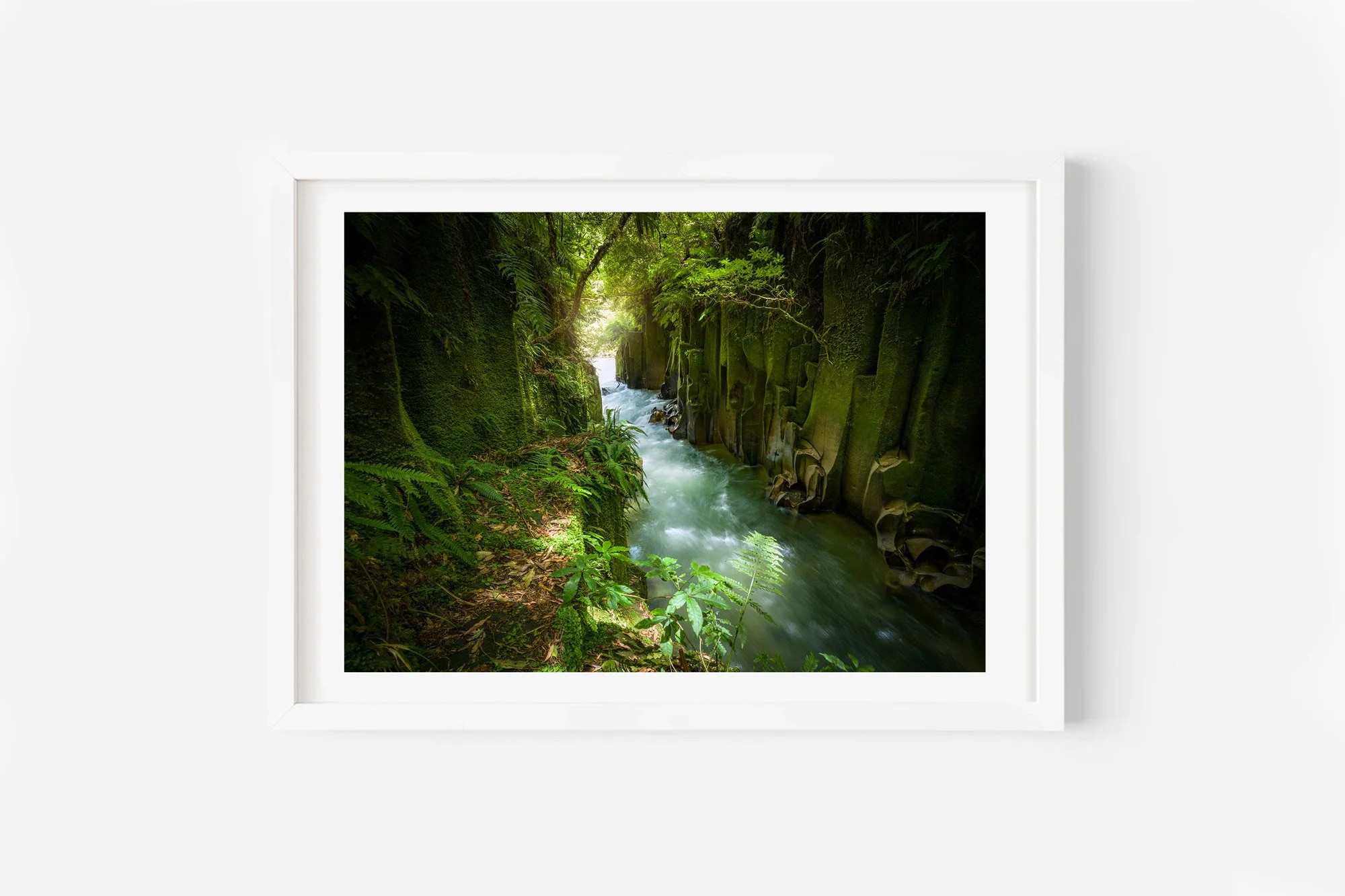 Whirinaki-forest-park-canyon-bay-of-plenty-print.jpg