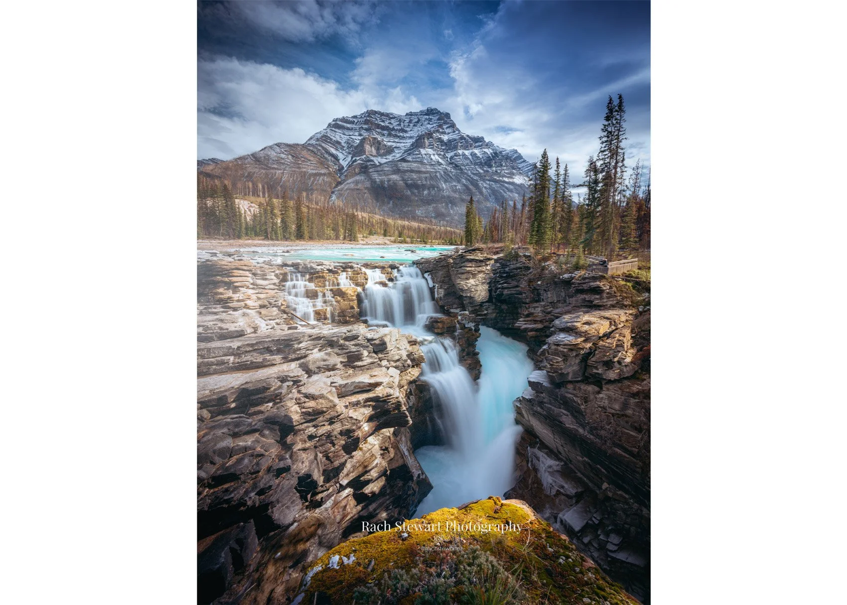 athabasca falls jasper national park canada print