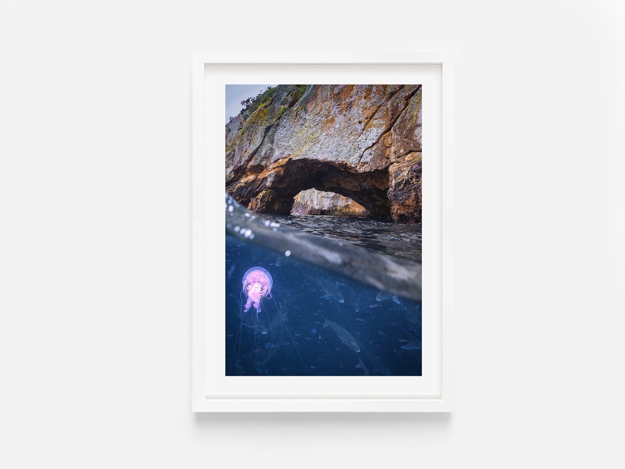 Poor Knights Islands Tutukaka Northland NZ Print