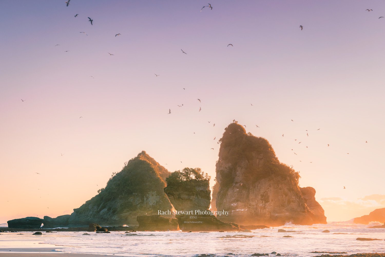 Motukeikei Beach West Coast NZ Print