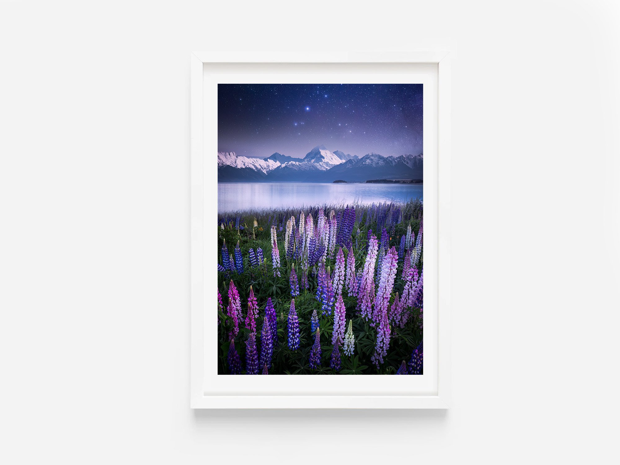 Lake Pukaki Mount Cook Lupins Spring Flowers NZ Print