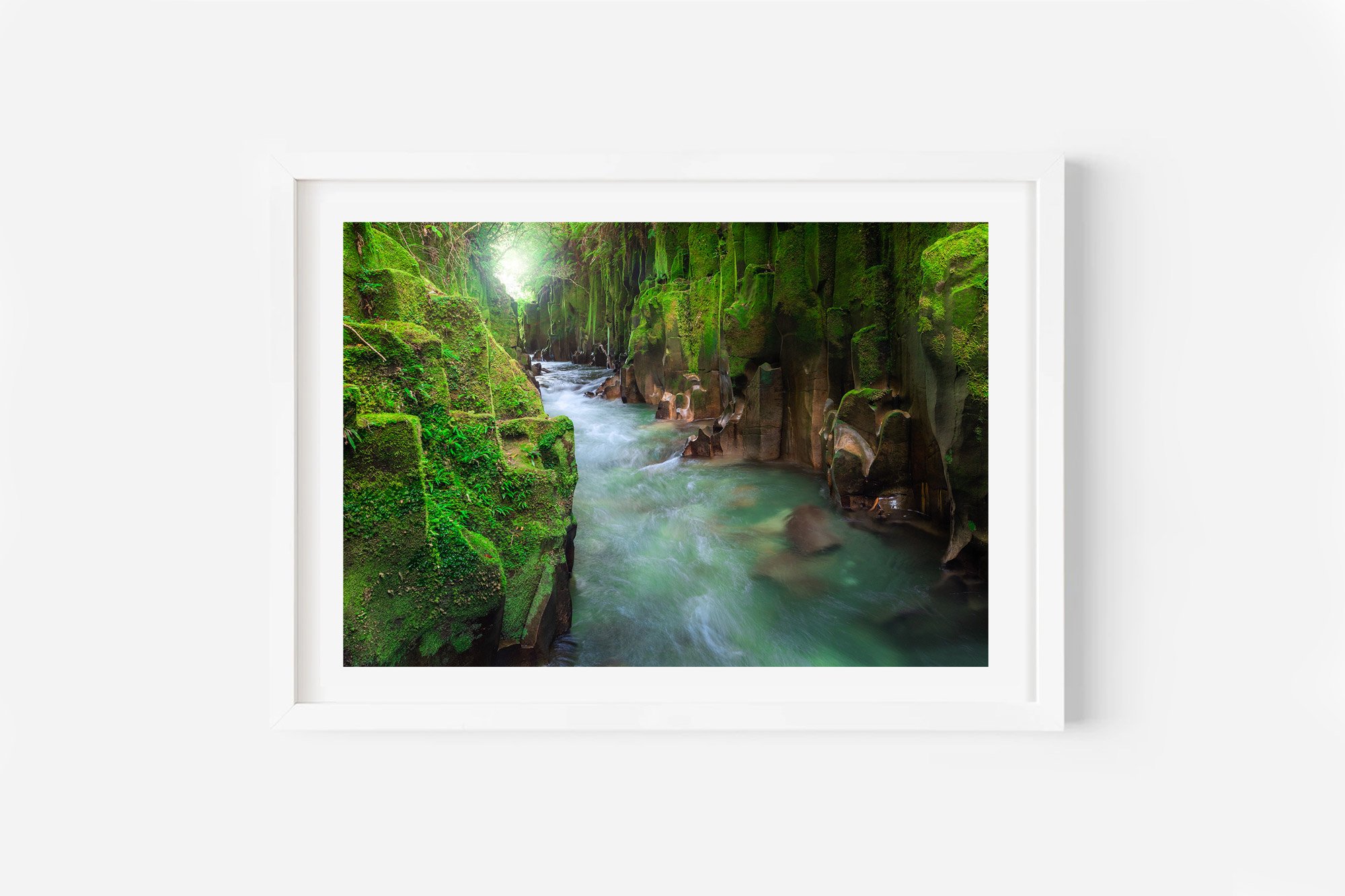 Te Whaiti Nui A Toi Canyon Whirinaki Forest NZ Print