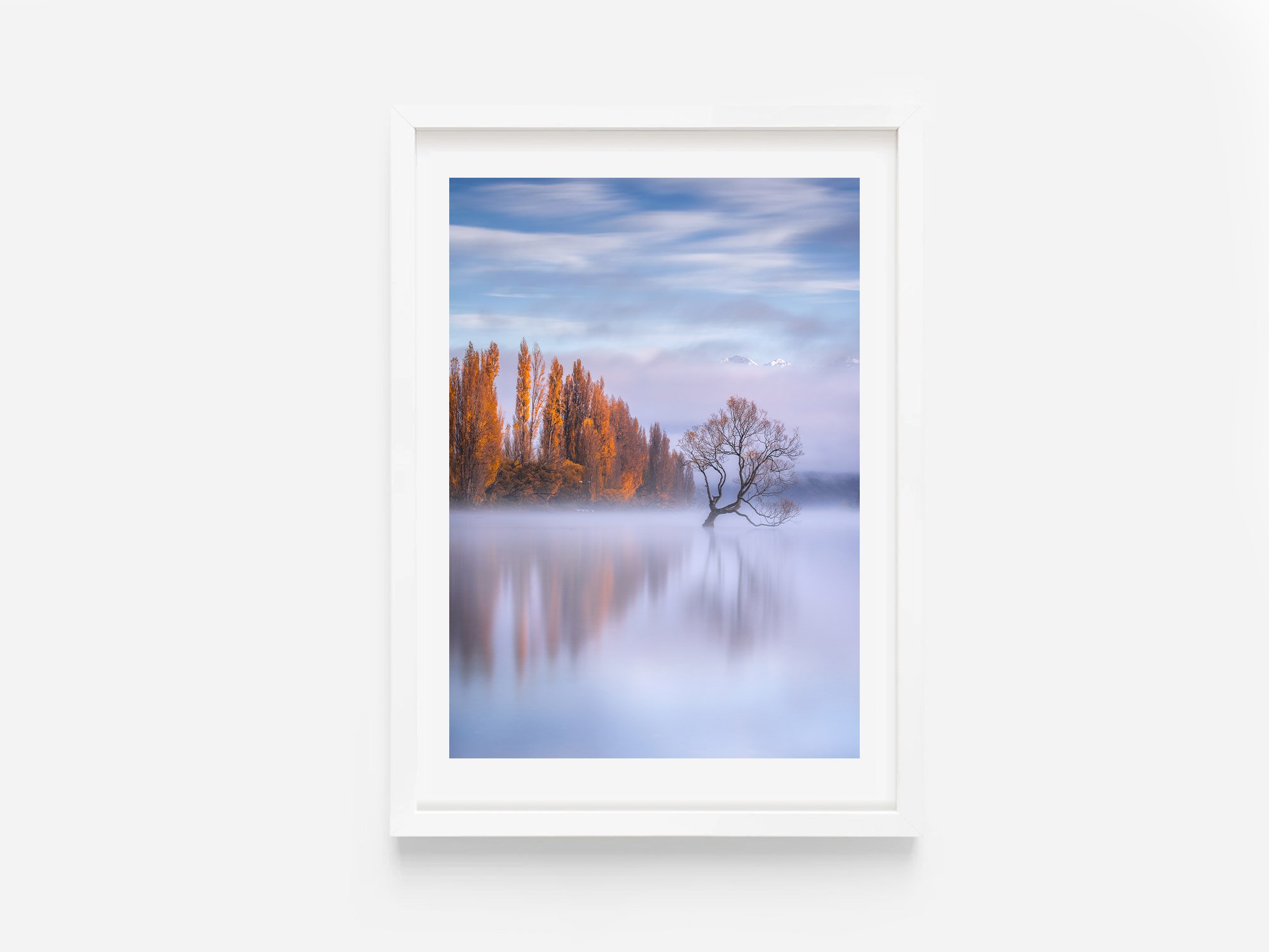 Wanaka Tree sunrise autumn NZ Print